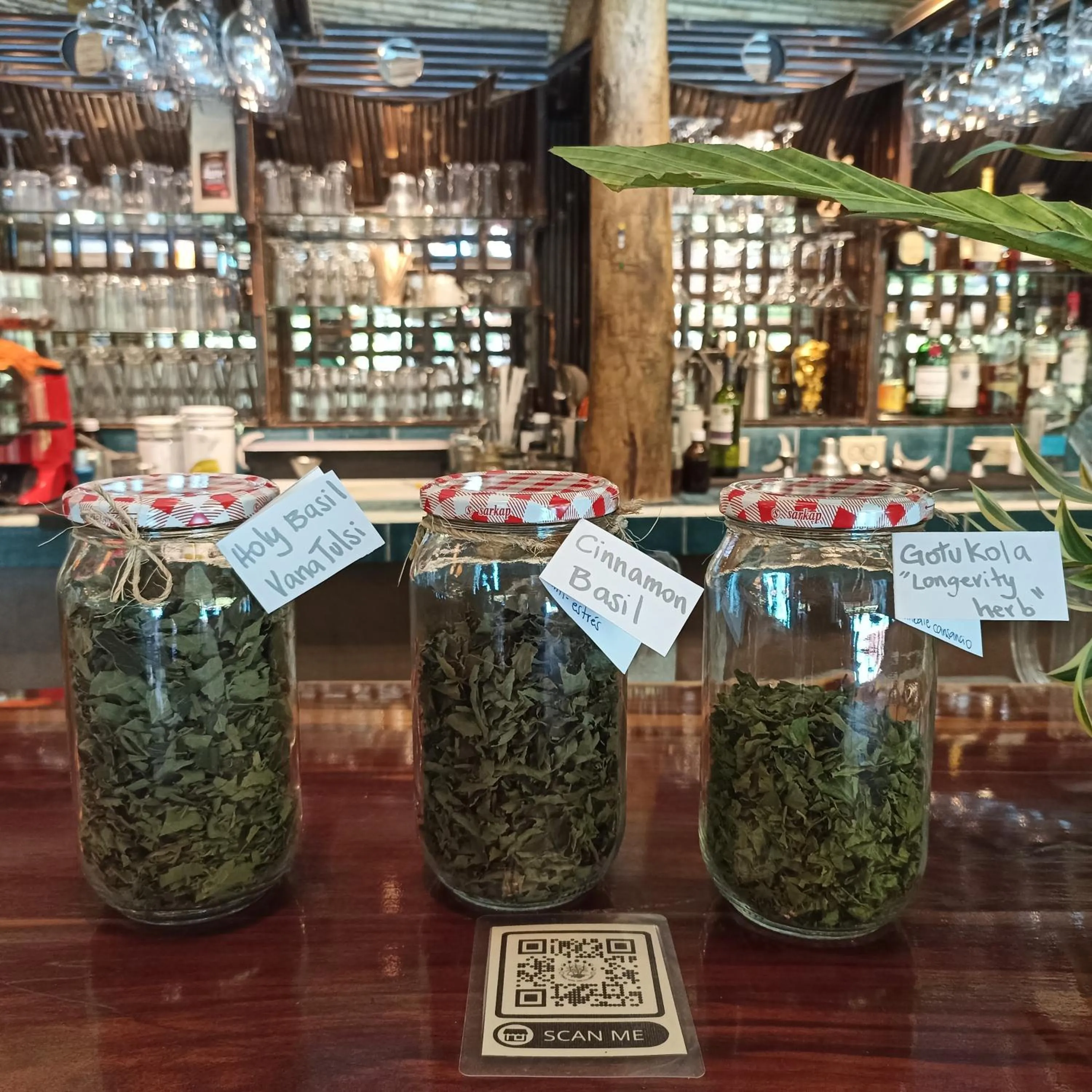 Restaurant/places to eat in Finca Luna Nueva Lodge