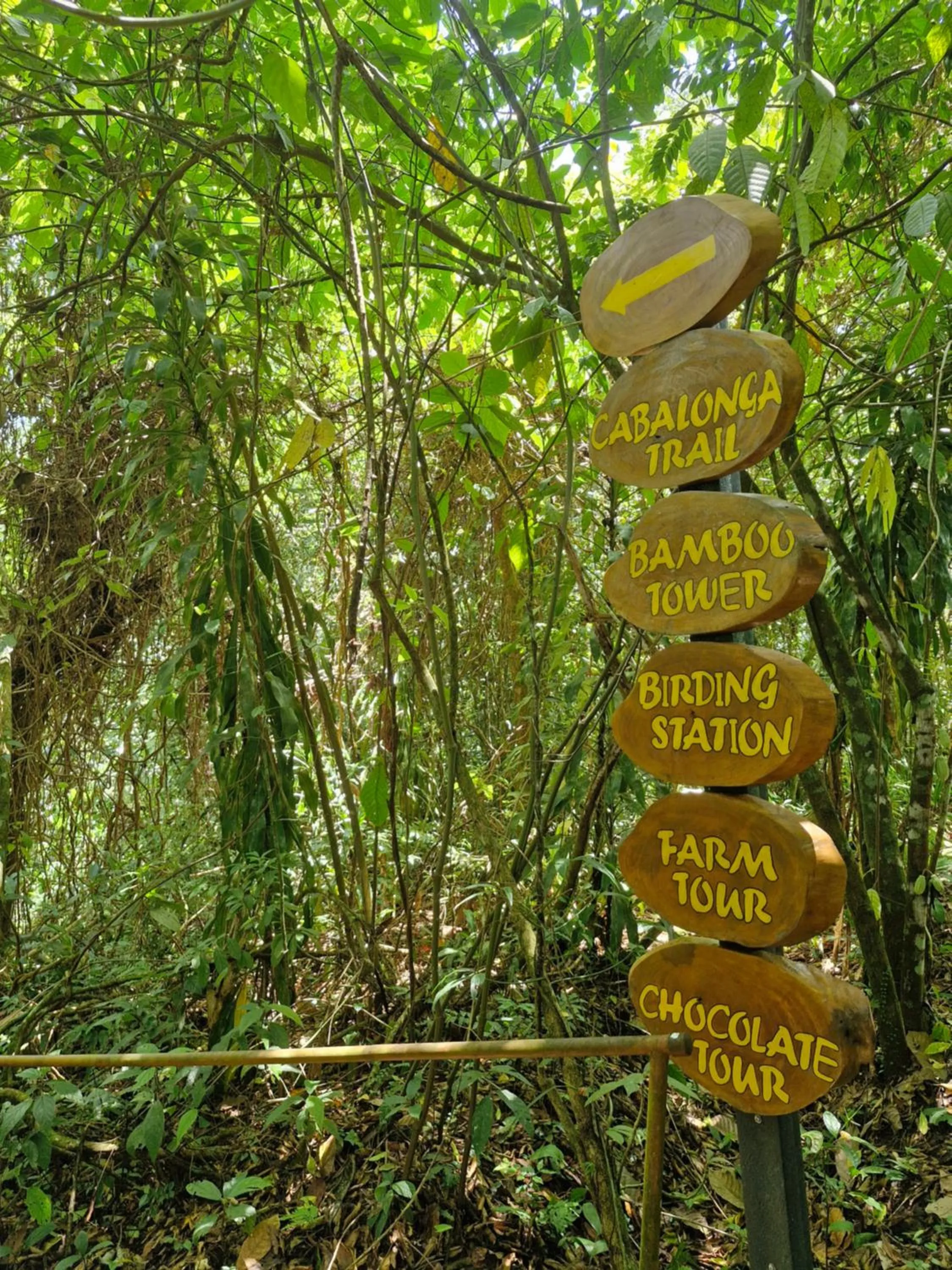 Entertainment in Finca Luna Nueva Lodge