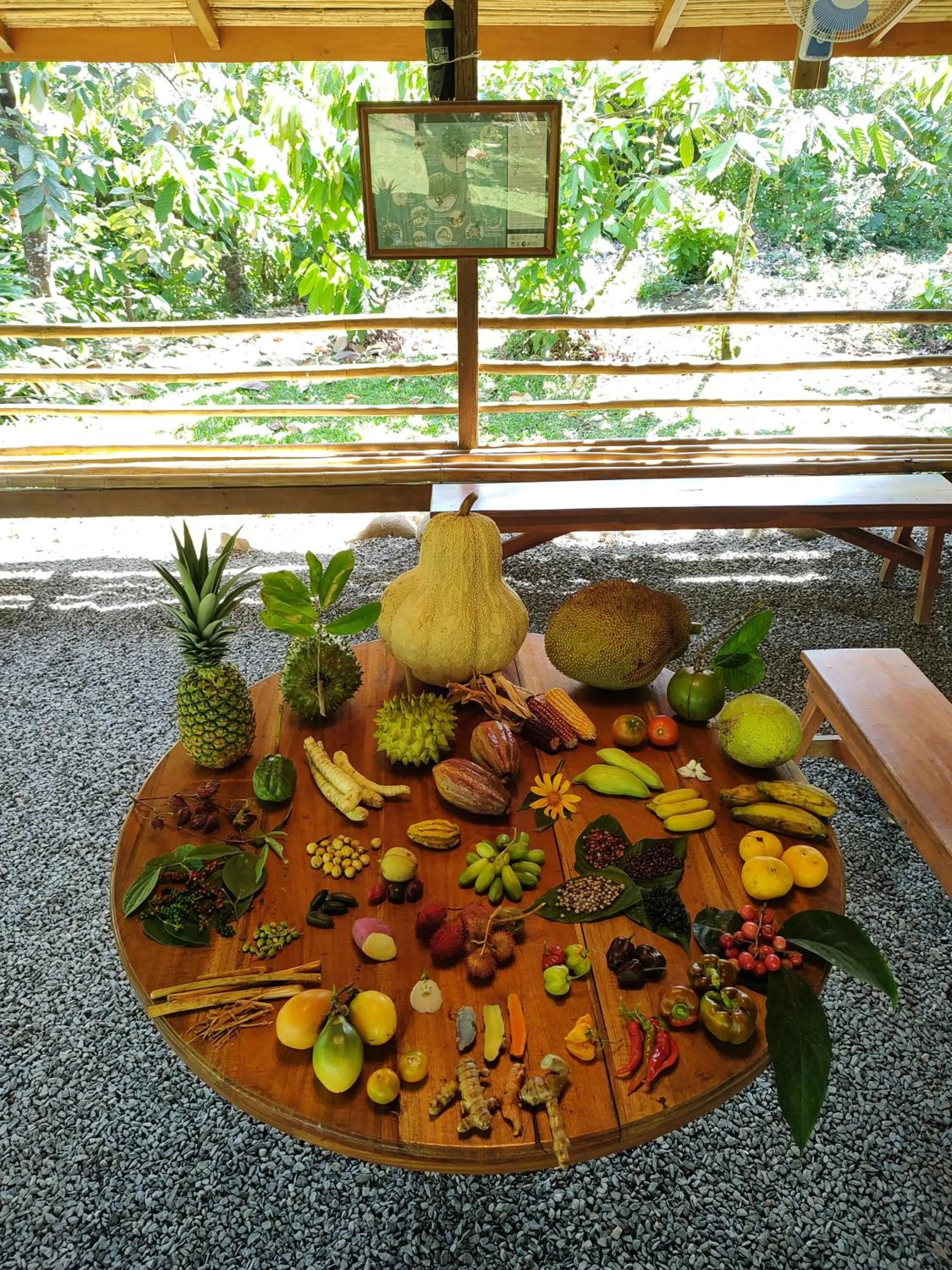 Entertainment in Finca Luna Nueva Lodge