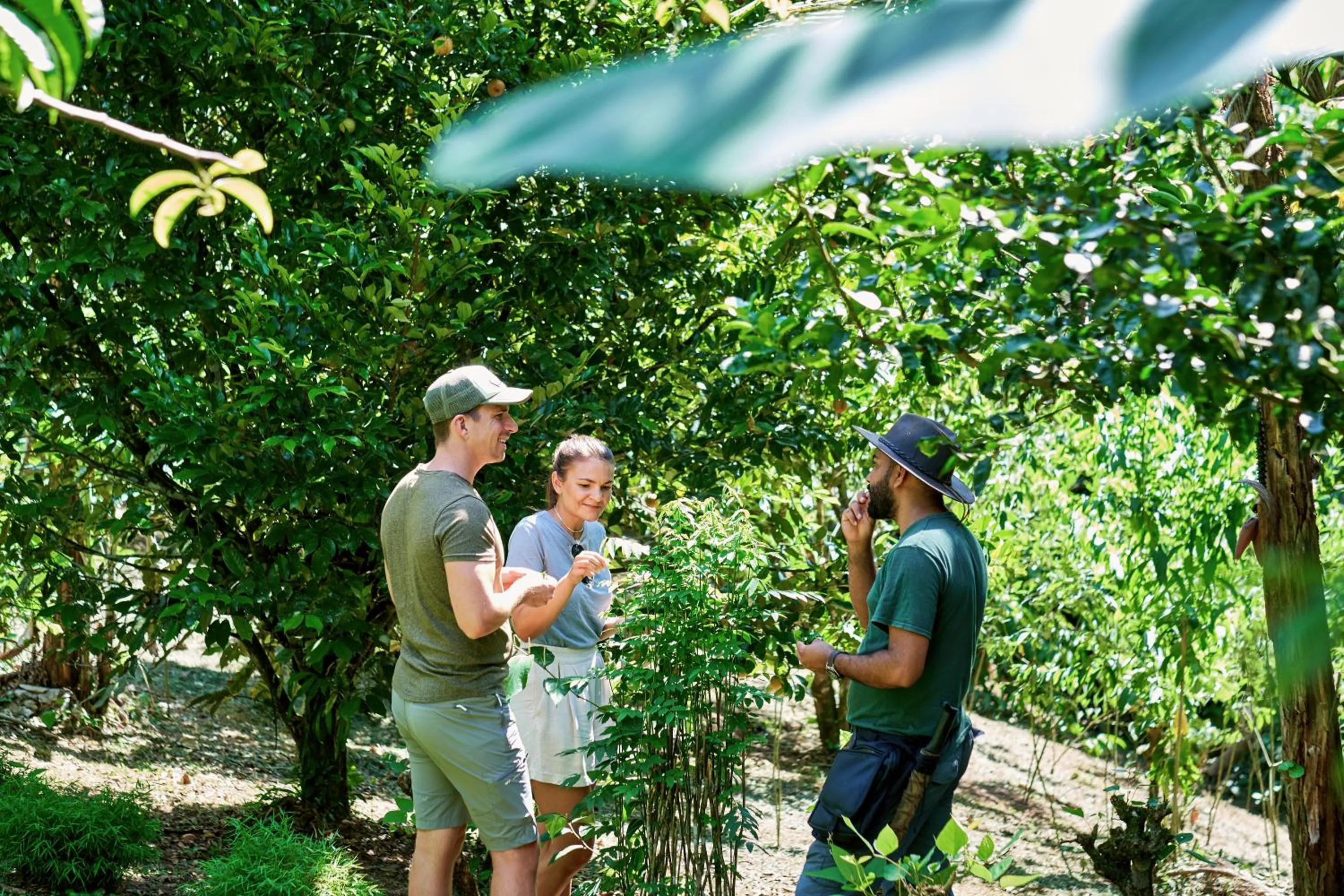 Day in Finca Luna Nueva Lodge