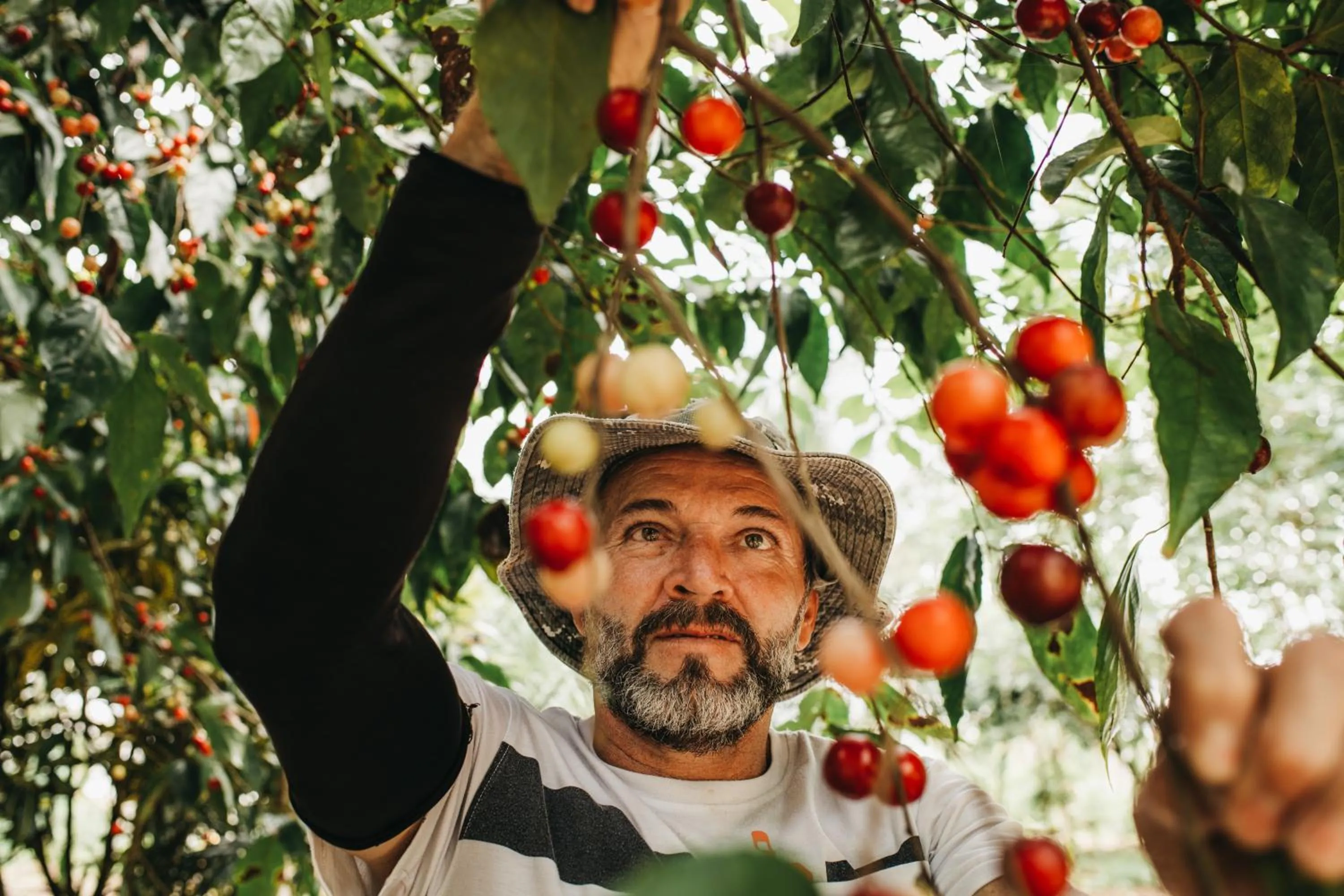 Activities in Finca Luna Nueva Lodge