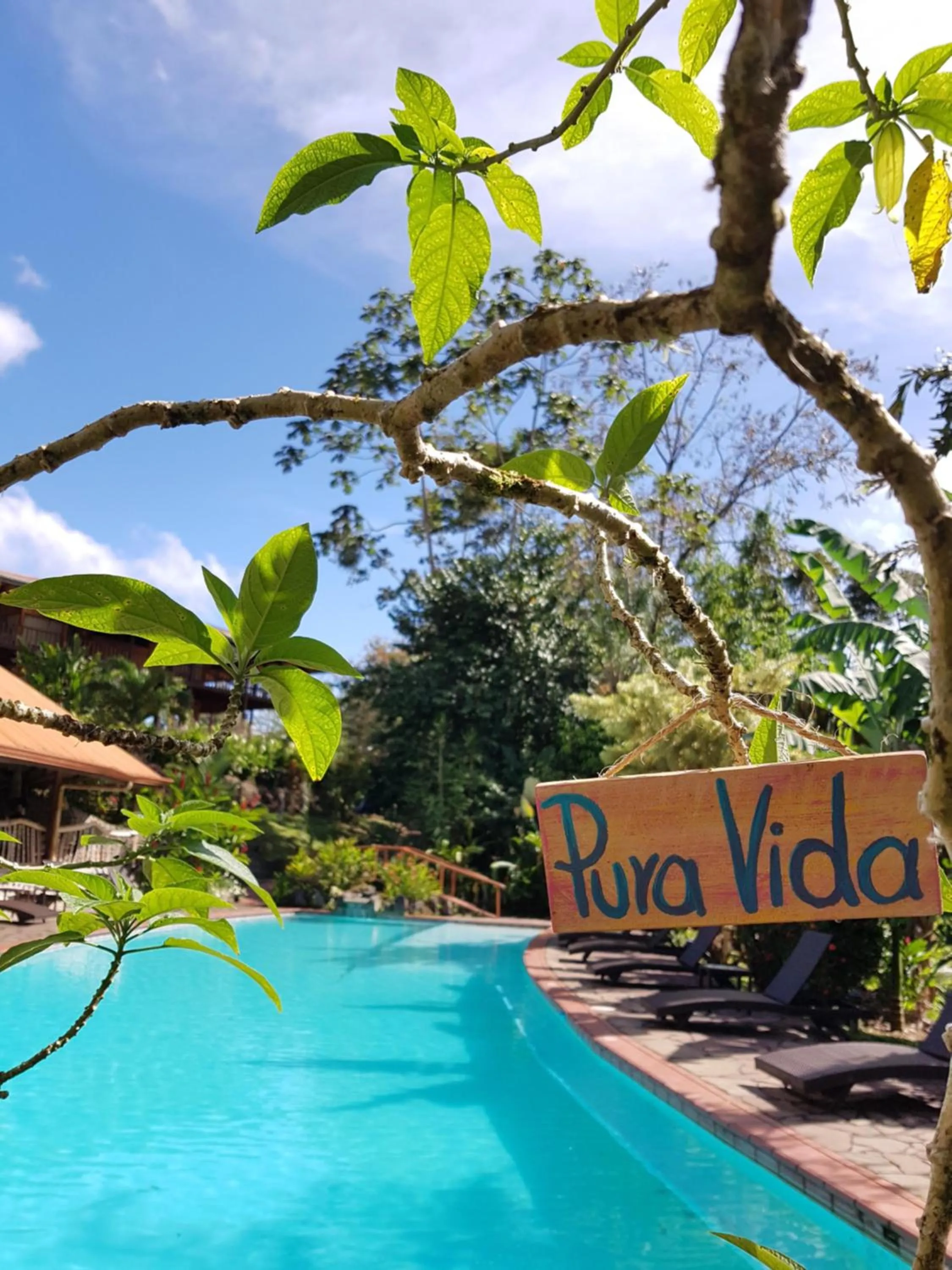 Swimming pool in Finca Luna Nueva Lodge