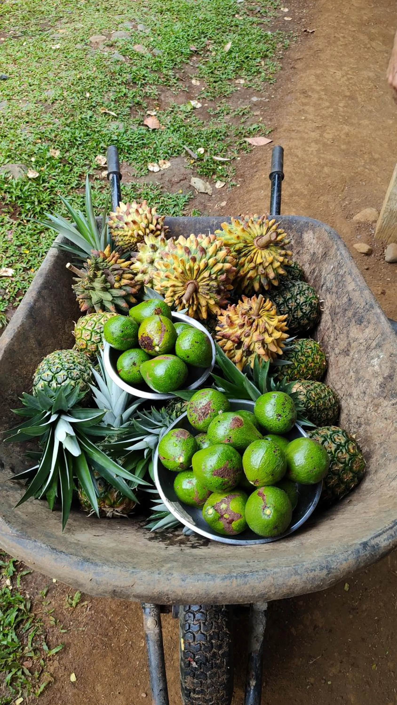 Activities in Finca Luna Nueva Lodge