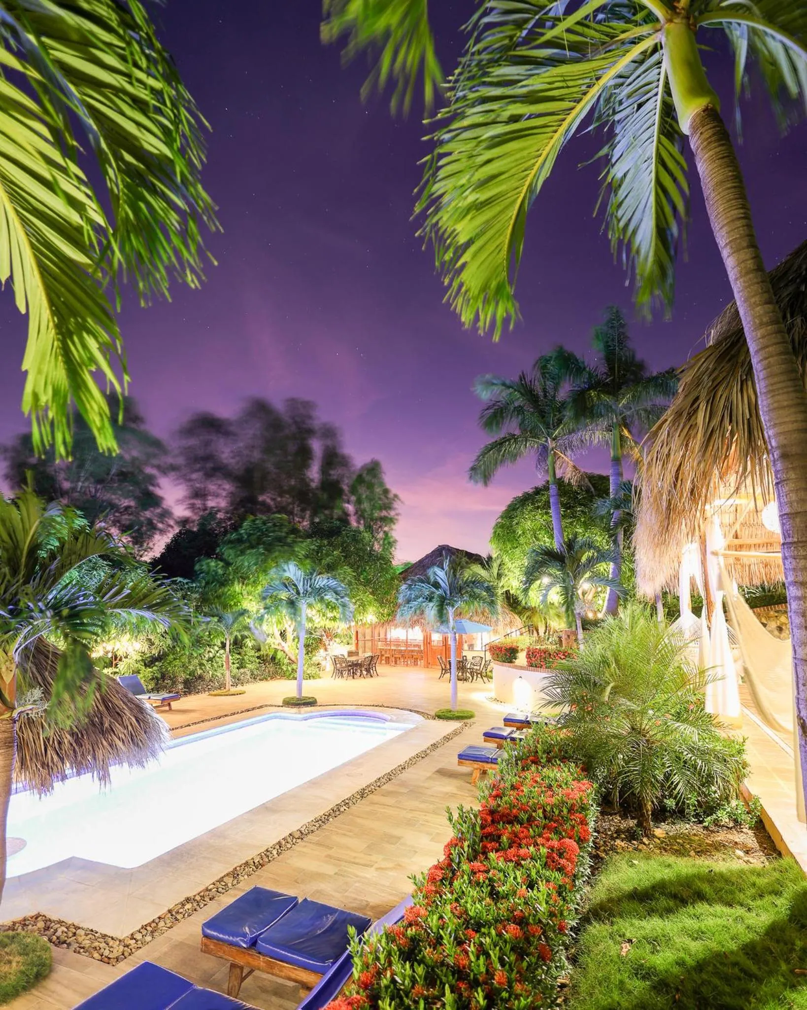 Night in Nicawaves