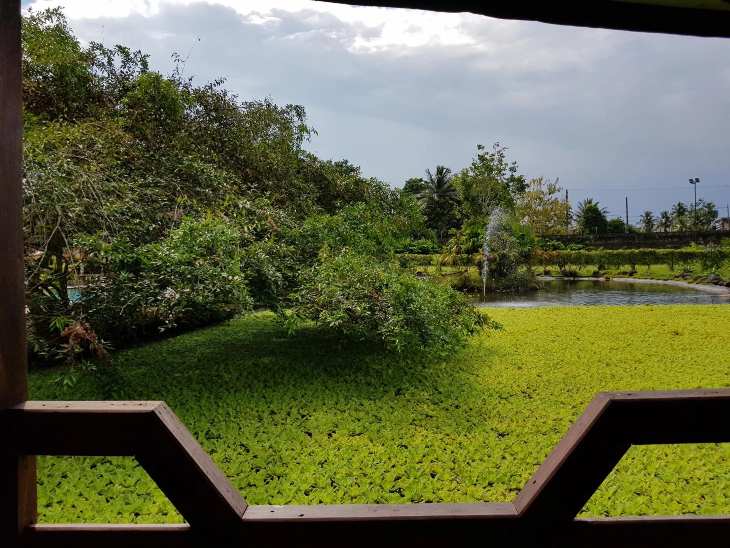 Garden in Gran Hotel De Lago - El Coca