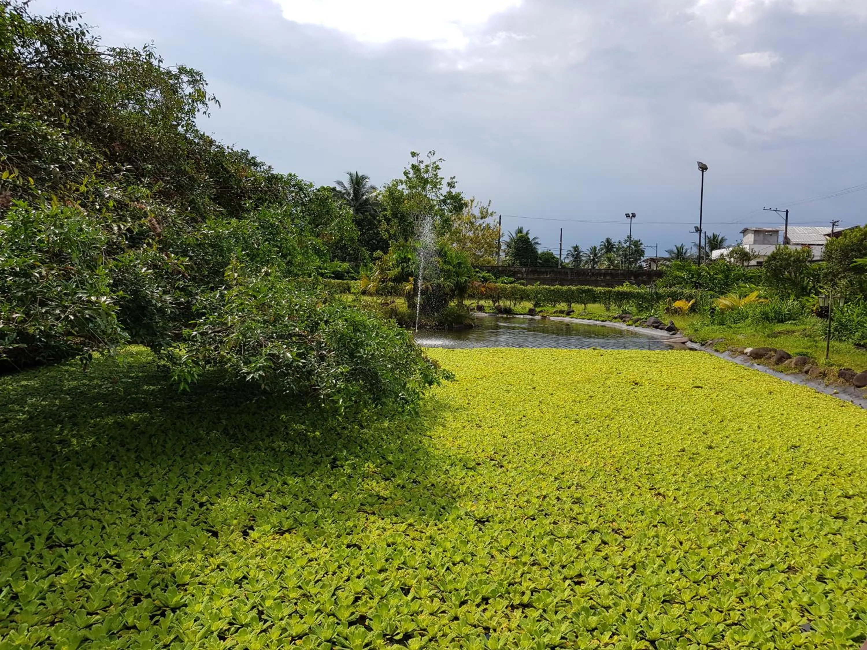 Garden in Gran Hotel De Lago - El Coca