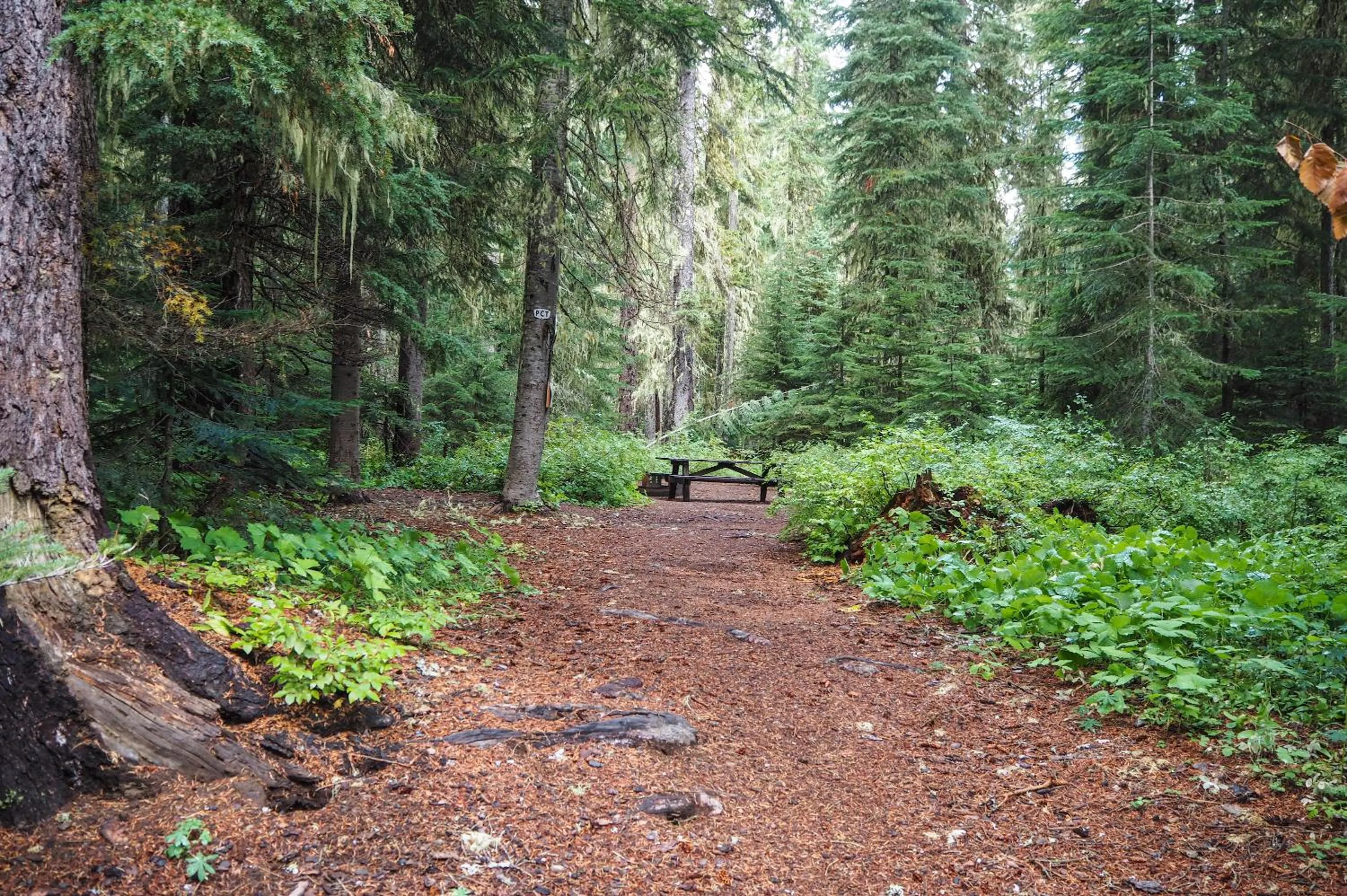View (from property/room) in Shelter Cove Resort & Marina