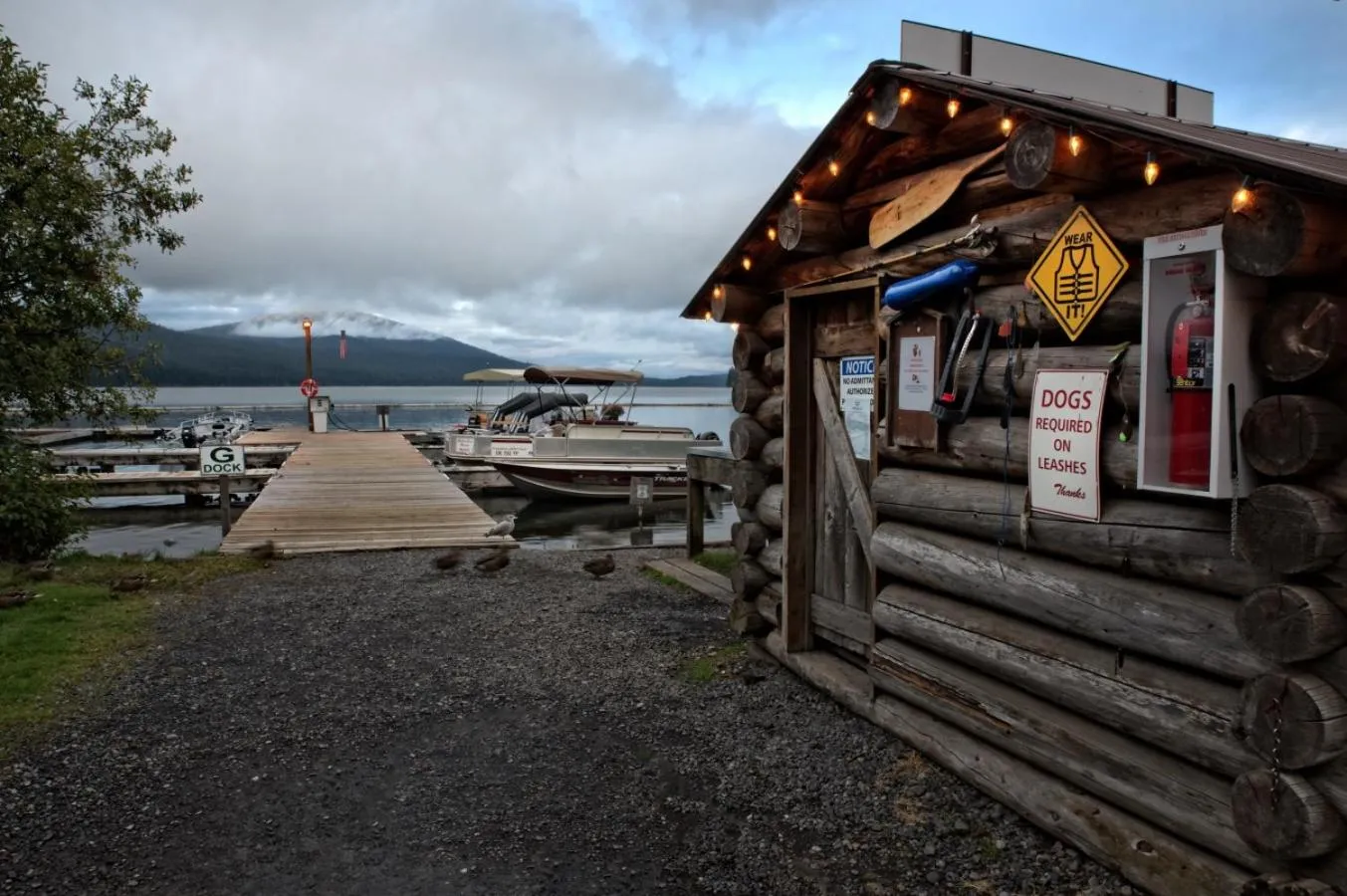 Fishing in Shelter Cove Resort & Marina