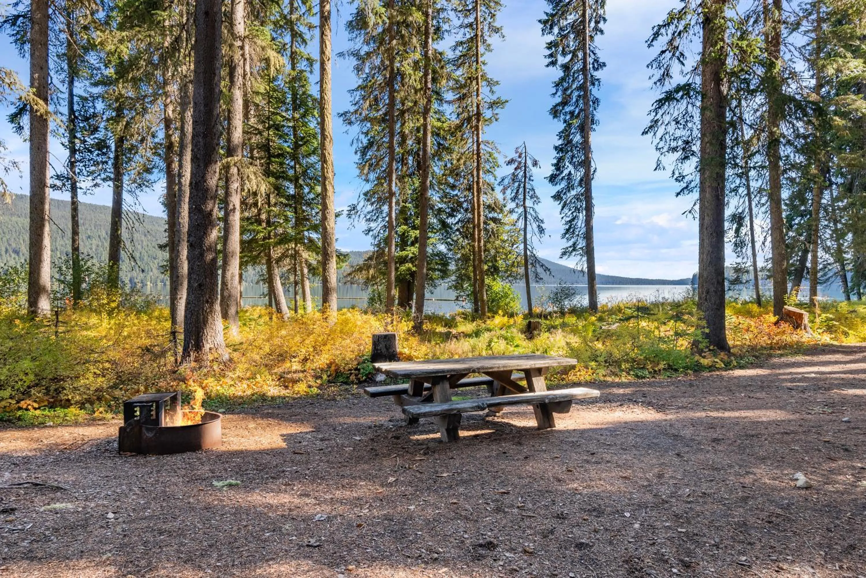 Area and facilities in Shelter Cove Resort & Marina