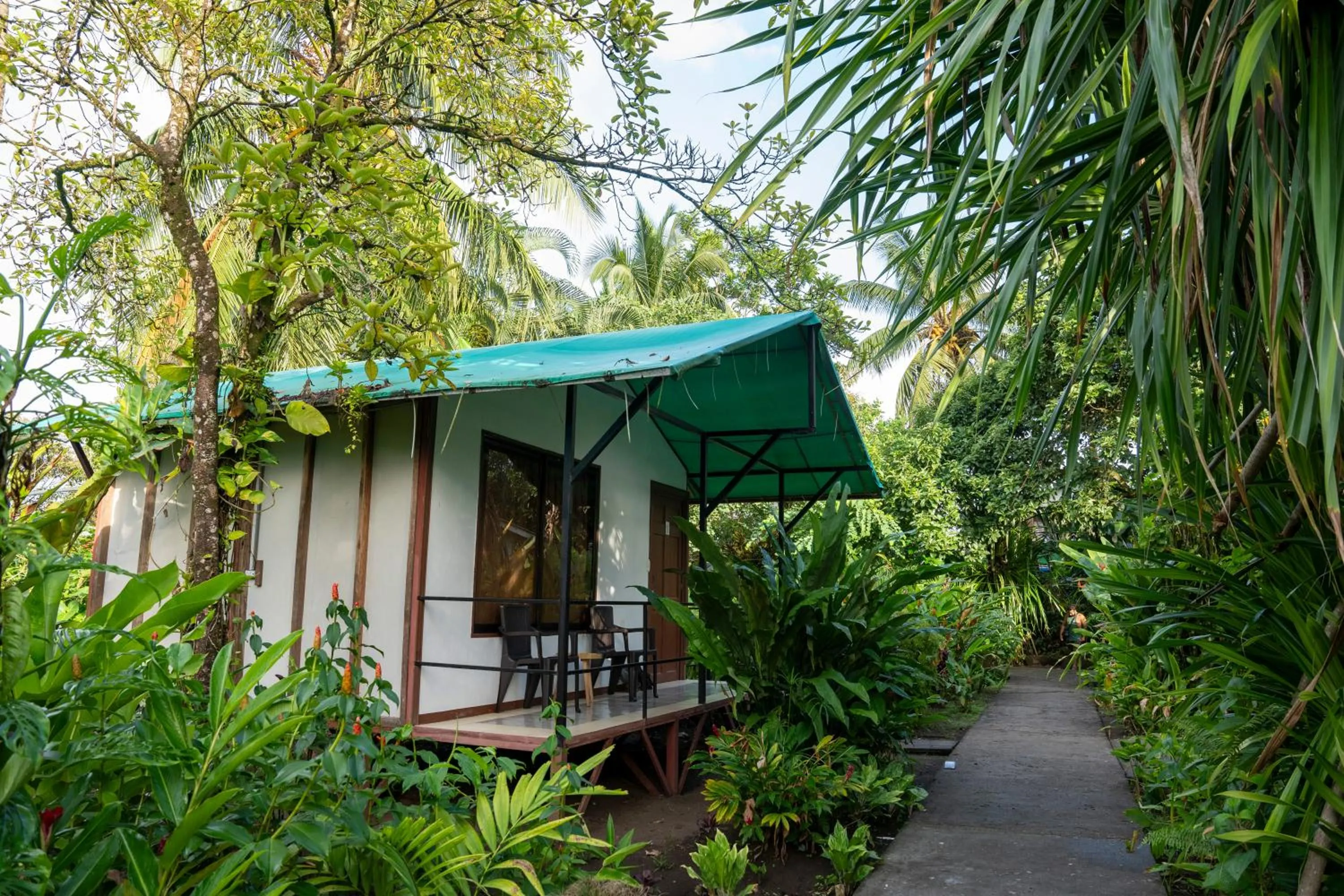 Natural landscape in Hotel Tortuguero Beachfront