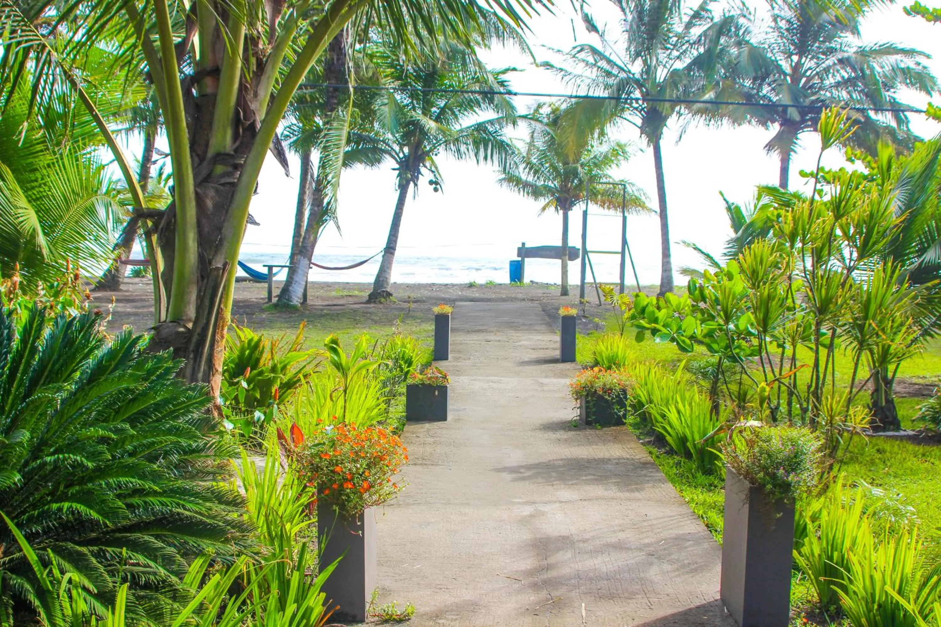 Garden in Hotel Tortuguero Beachfront