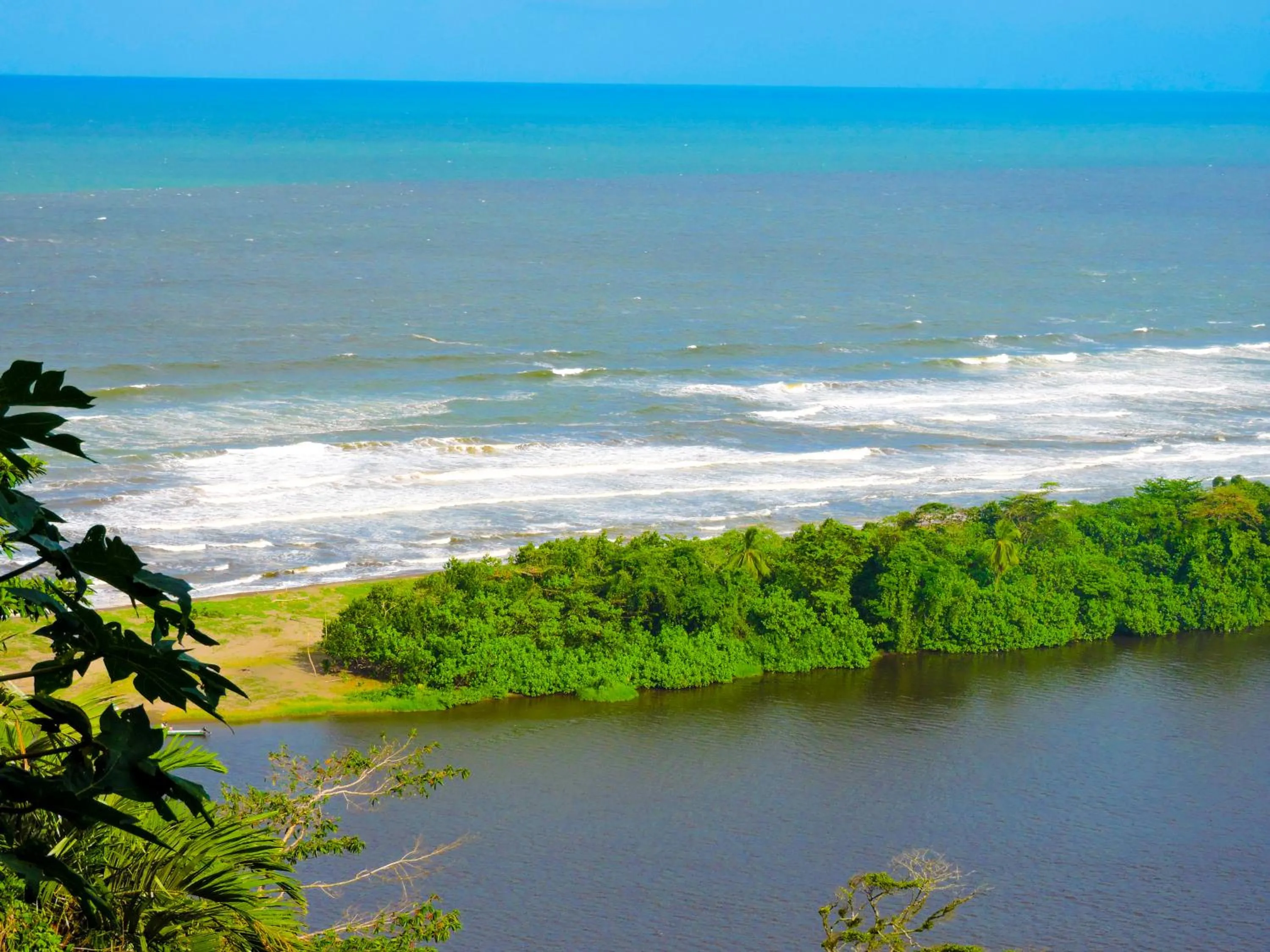 Beach in Hotel Tortuguero Beachfront