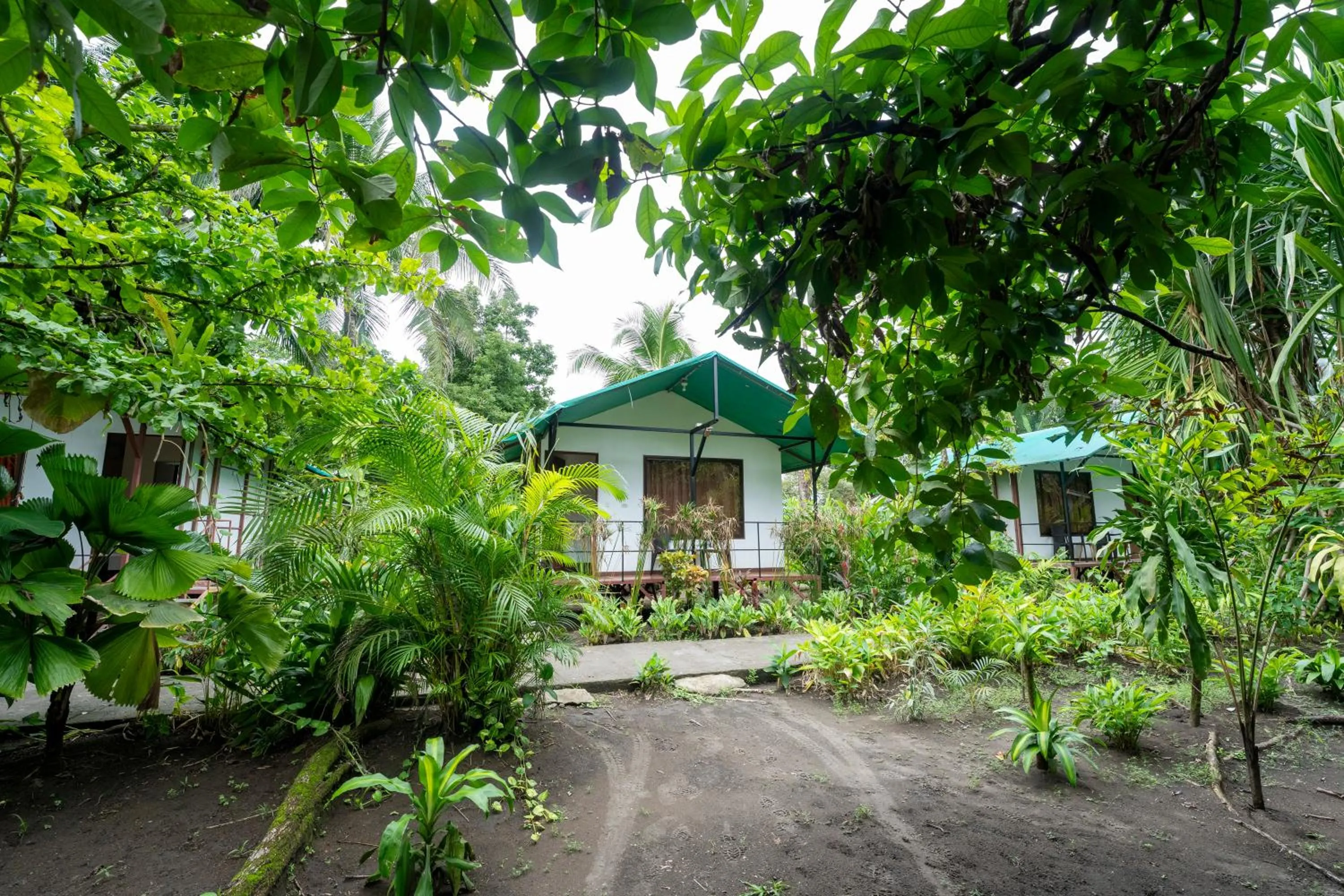 Spring in Hotel Tortuguero Beachfront