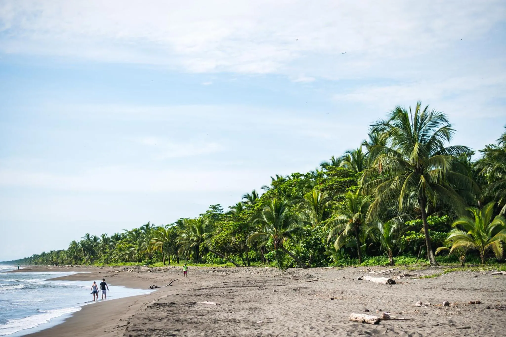 Beach in Hotel Tortuguero Beachfront