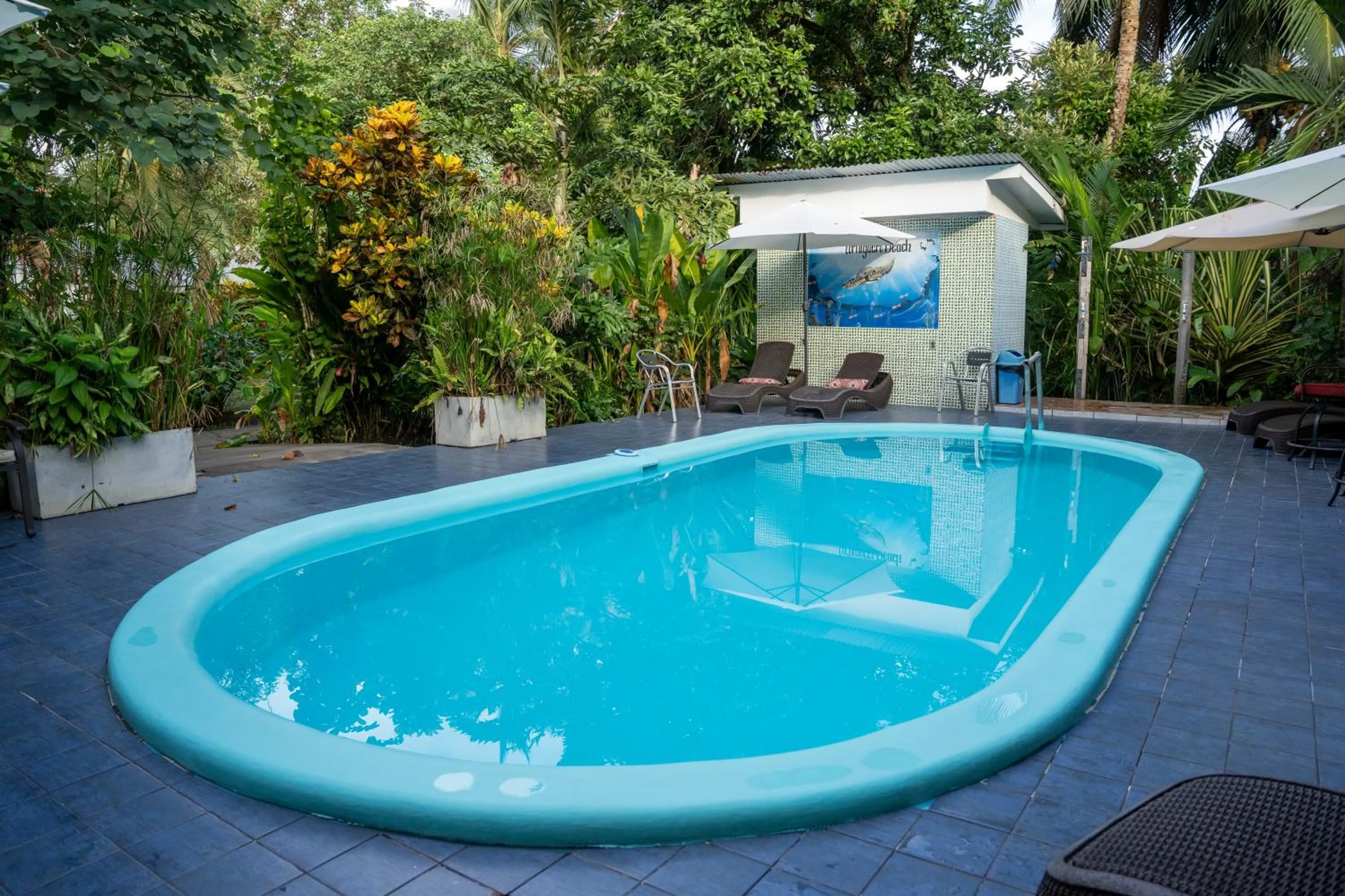 Natural landscape in Hotel Tortuguero Beachfront