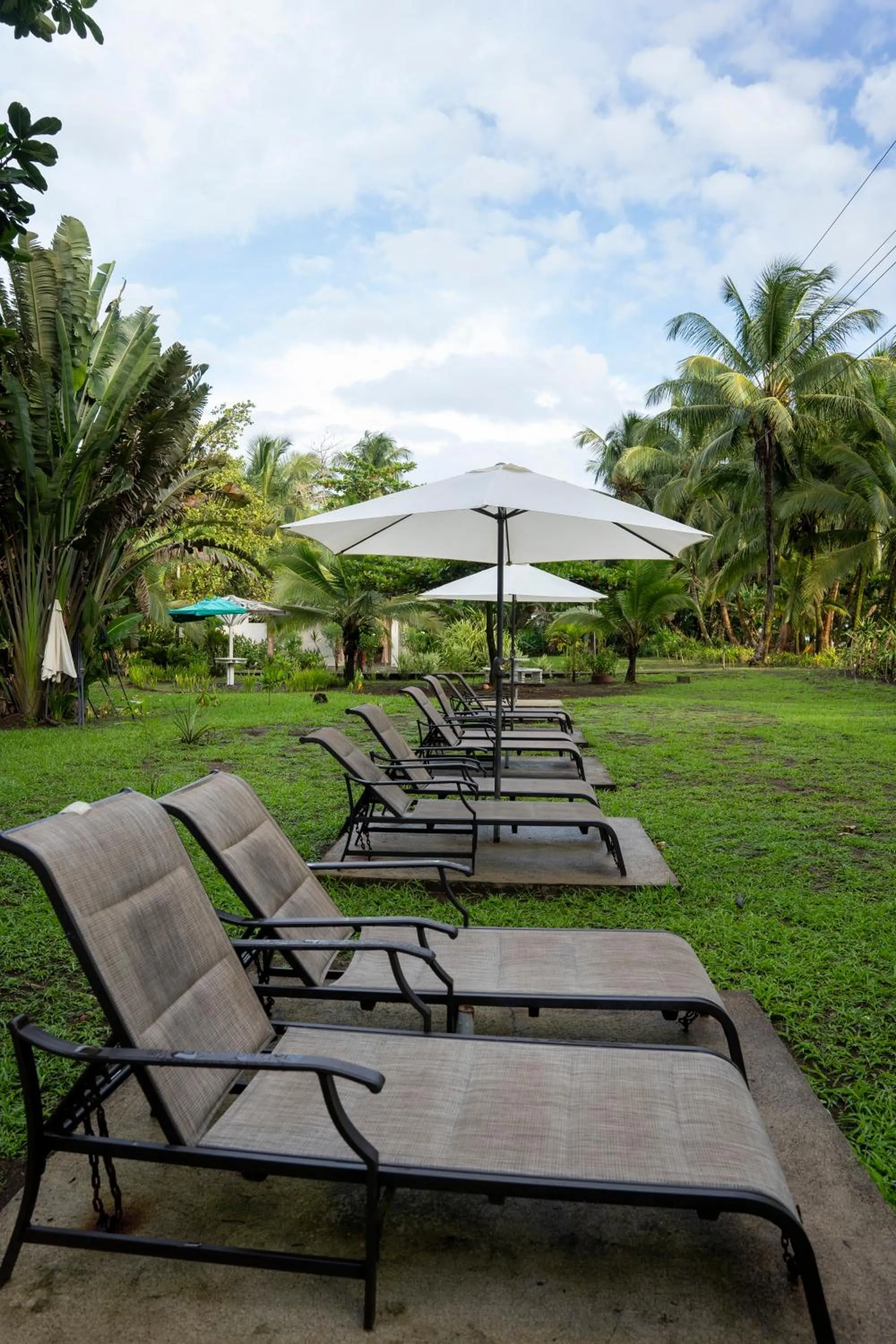 Spring in Hotel Tortuguero Beachfront