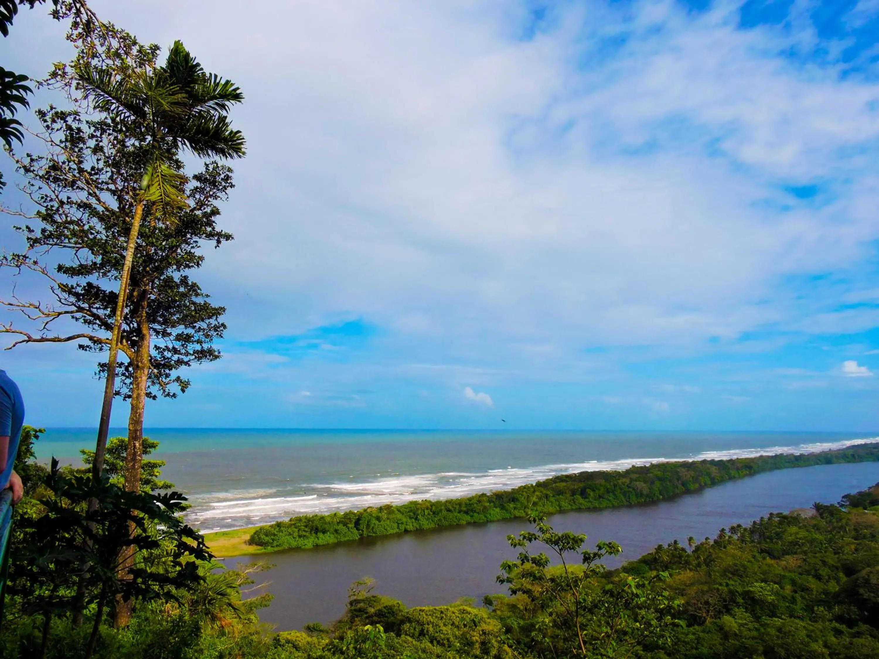 Natural landscape in Hotel Tortuguero Beachfront