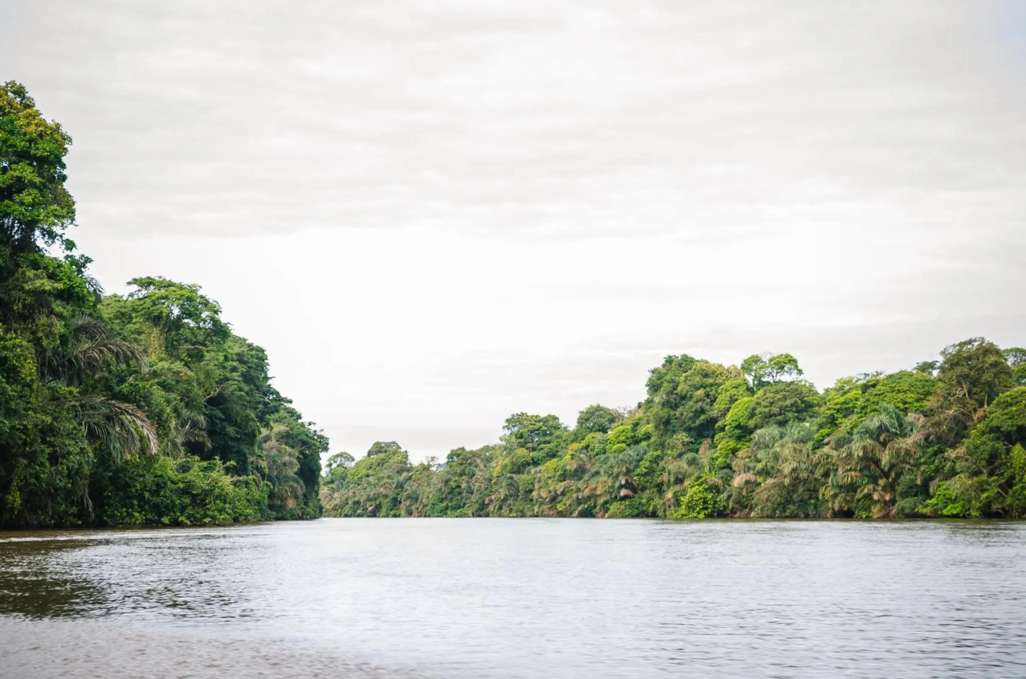 Other in Hotel Tortuguero Beachfront