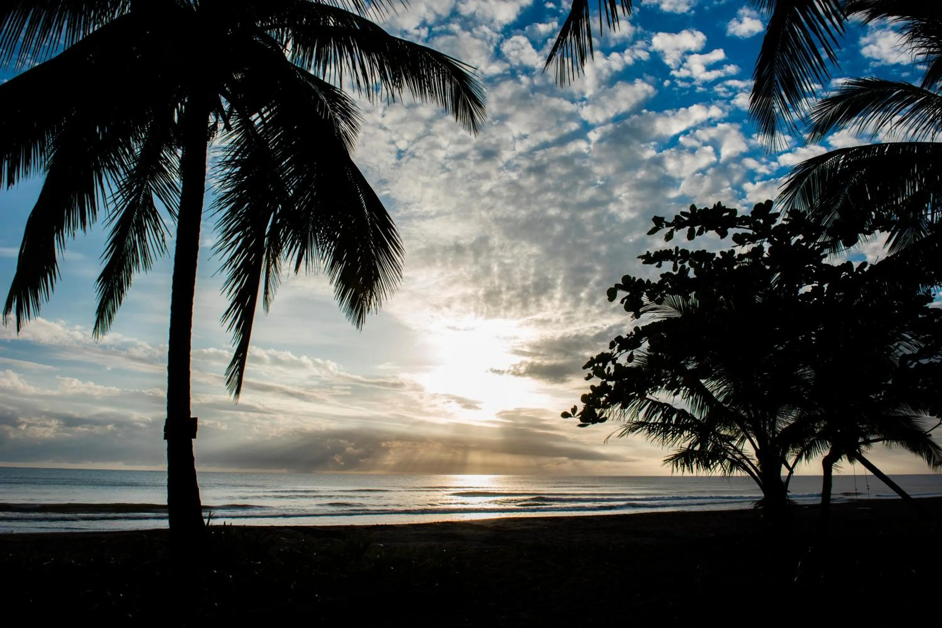 Natural landscape in Hotel Tortuguero Beachfront
