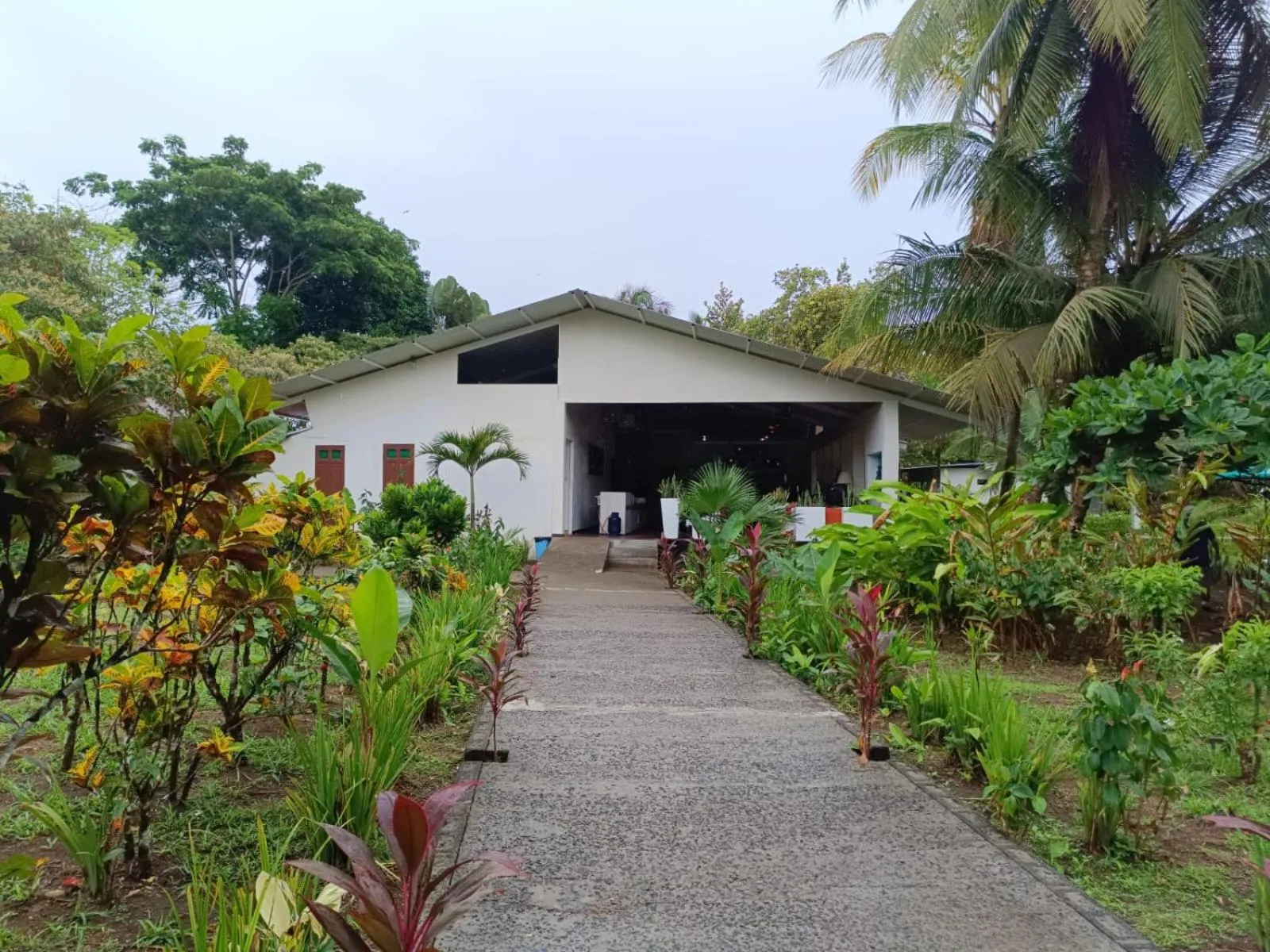 Natural landscape in Hotel Tortuguero Beachfront