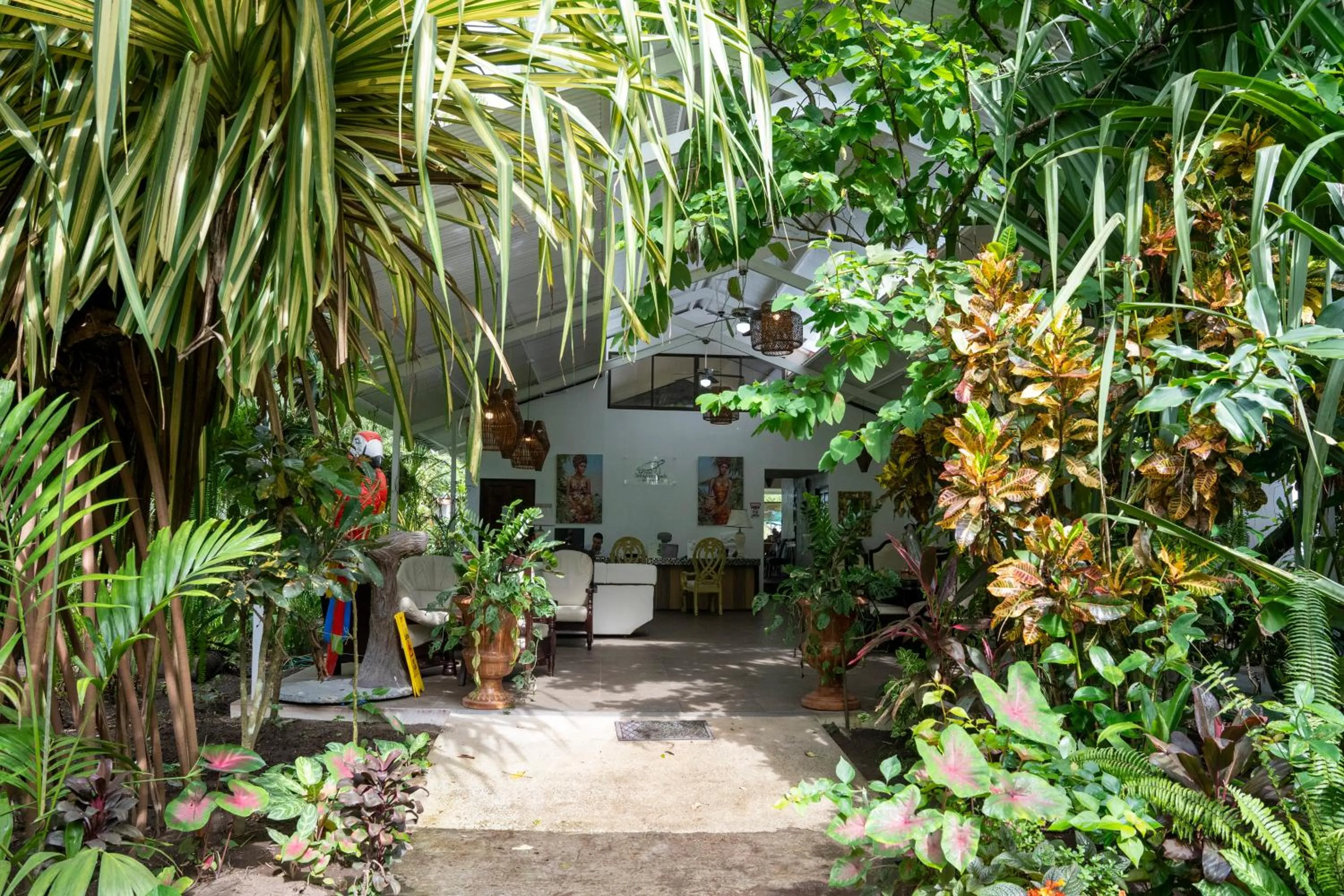 Natural landscape in Hotel Tortuguero Beachfront