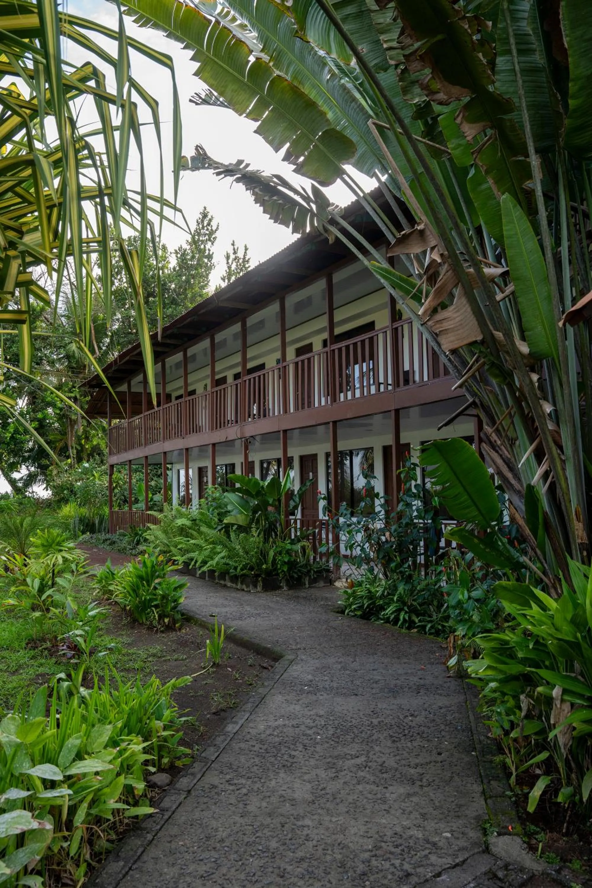 Property building in Hotel Tortuguero Beachfront