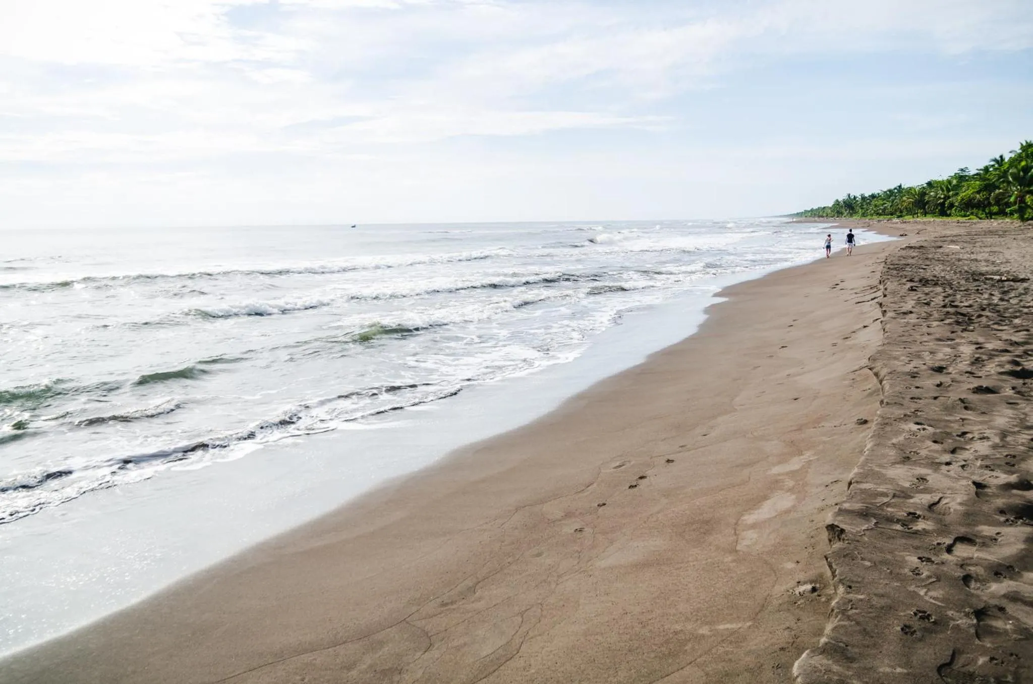 Beach in Hotel Tortuguero Beachfront