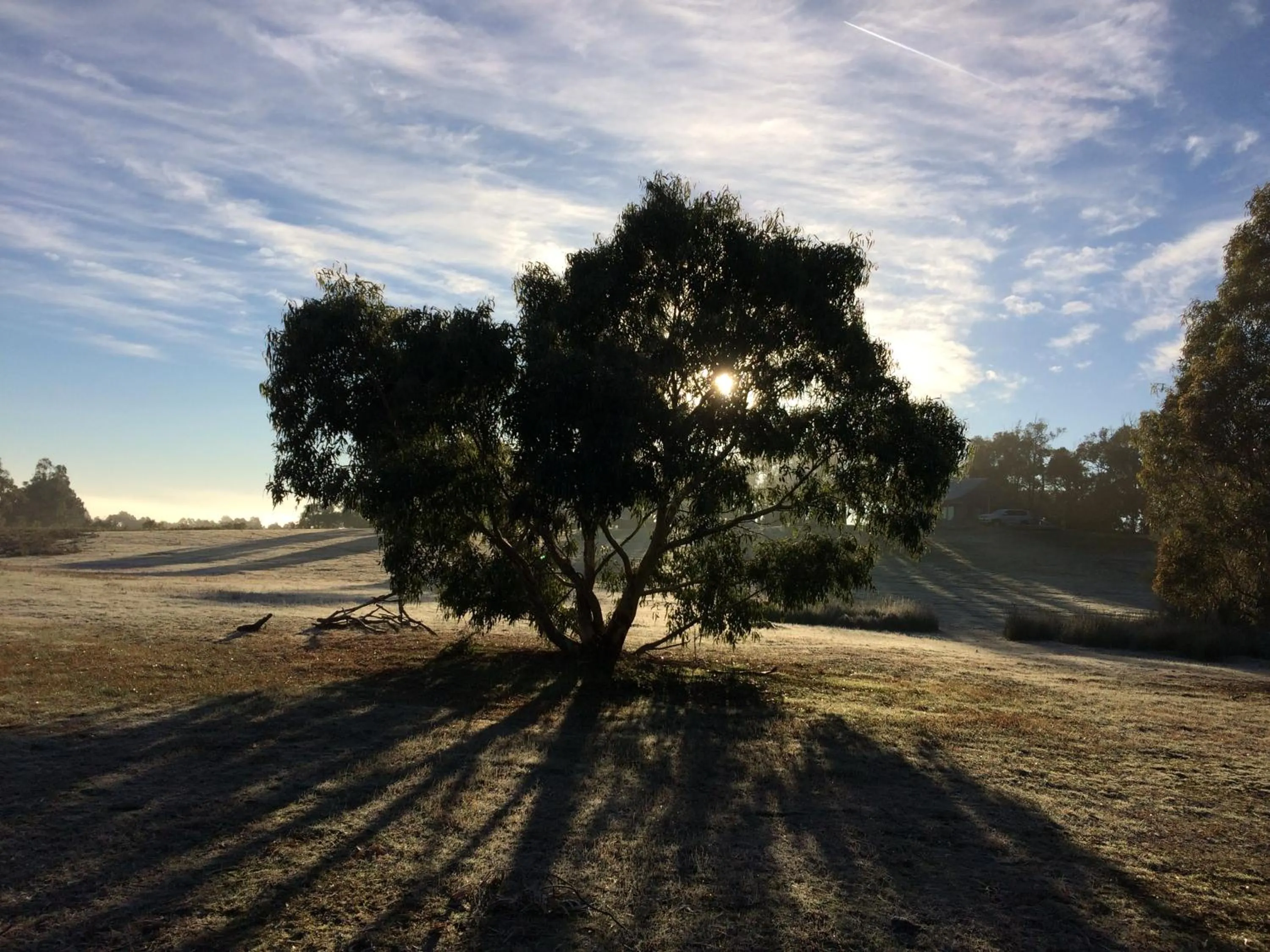 Garden in Grampians Pioneer Cottages