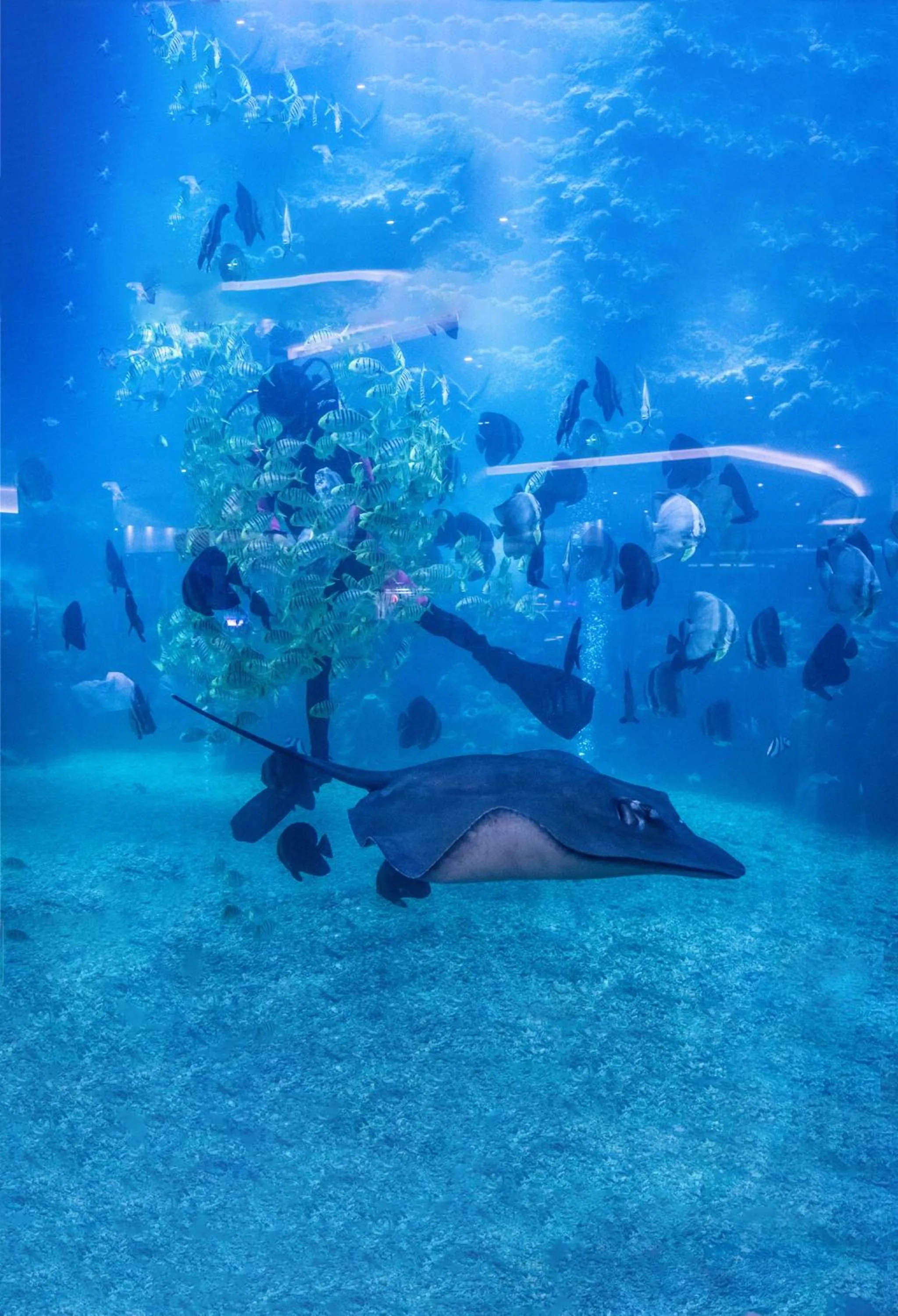 Breakfast in Palace Resort Yalong Bay Sanya