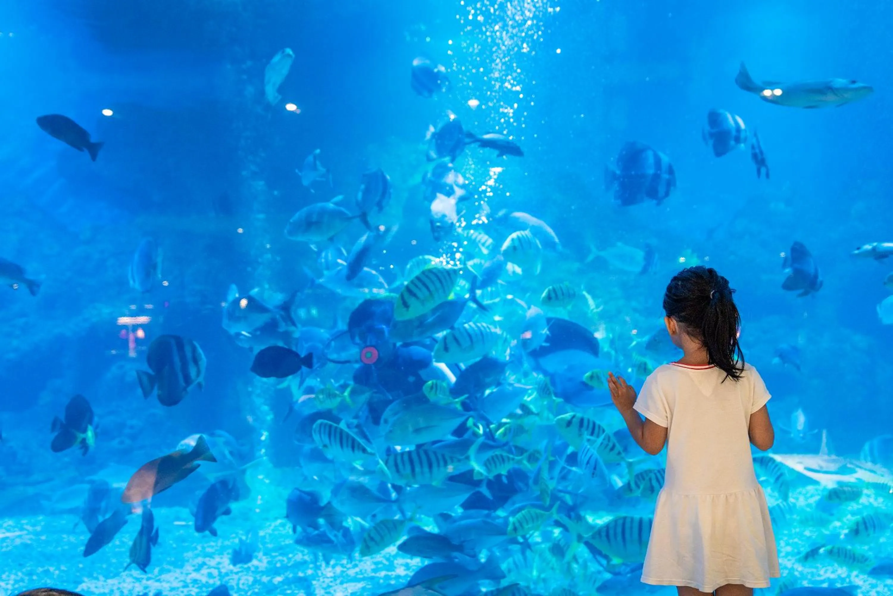 Restaurant/places to eat in Palace Resort Yalong Bay Sanya