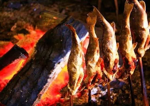 Food close-up in Shiobara Onsen Yama no Yado Shimofujiya