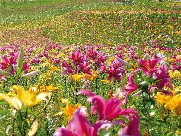 Nearby landmark in Shiobara Onsen Yama no Yado Shimofujiya