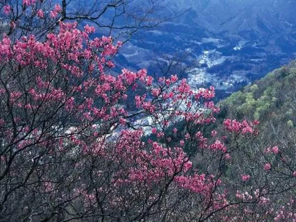 Natural landscape in Shiobara Onsen Yama no Yado Shimofujiya