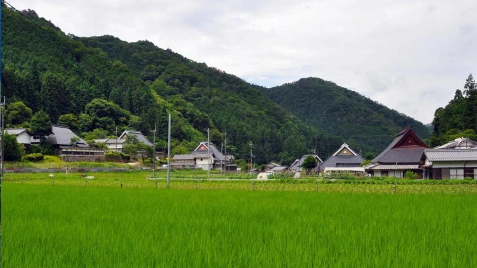 Natural landscape in NIPPONIA Sasayama Castle Town Hotel