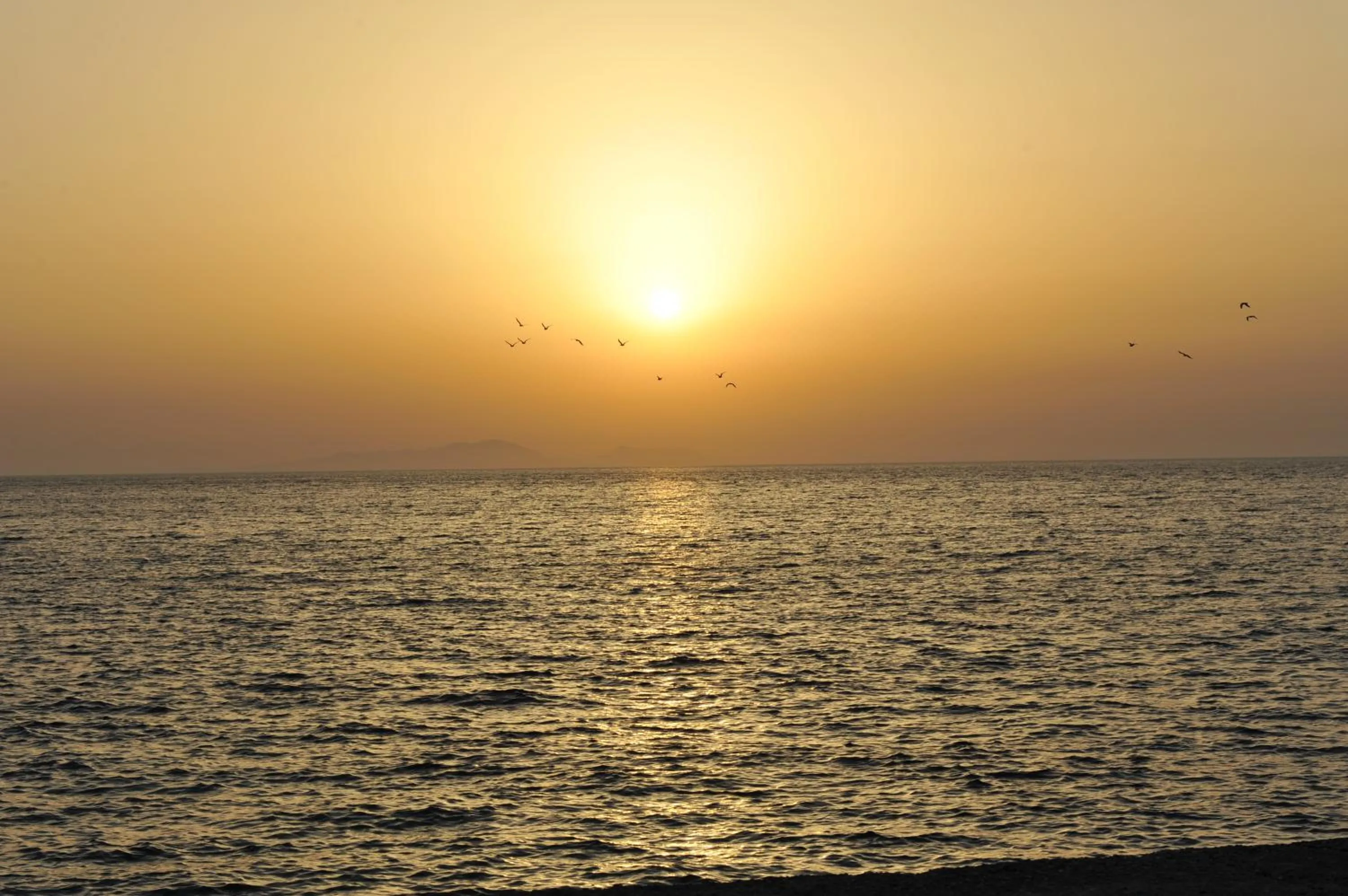 Beach in Heleni Beach Hotel
