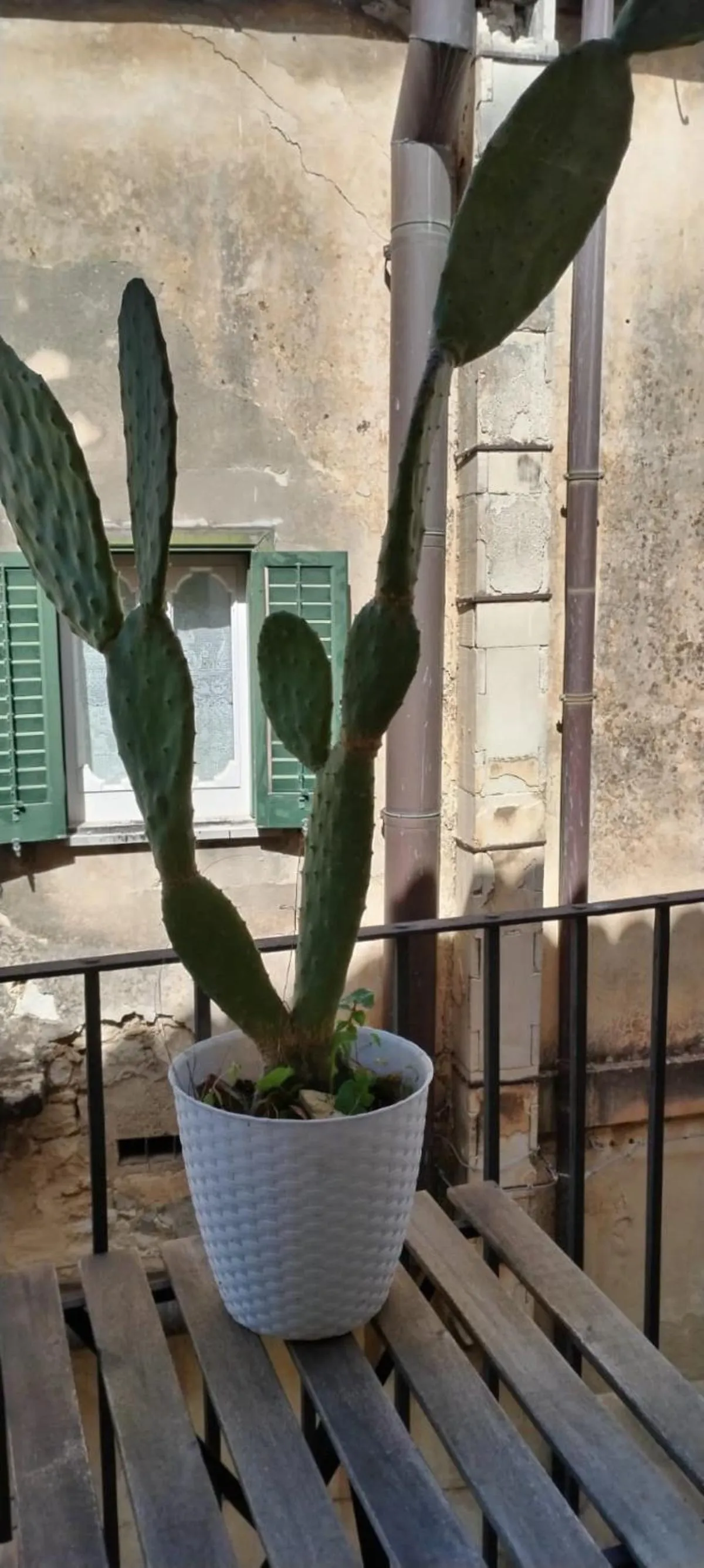 View (from property/room) in Residenza Donnafugata B&B