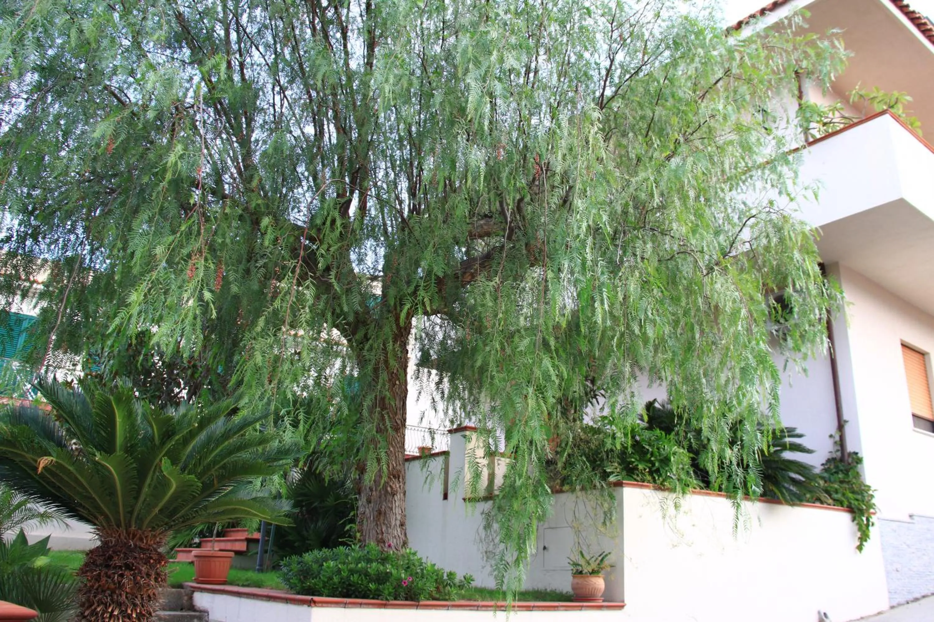 Facade/entrance in B&B La Piccola Oasi