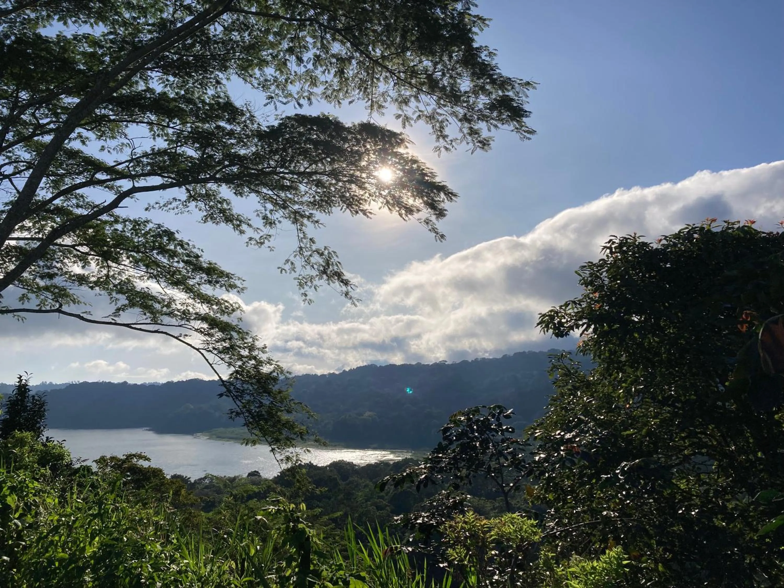 Terrasse du Lac Munduk