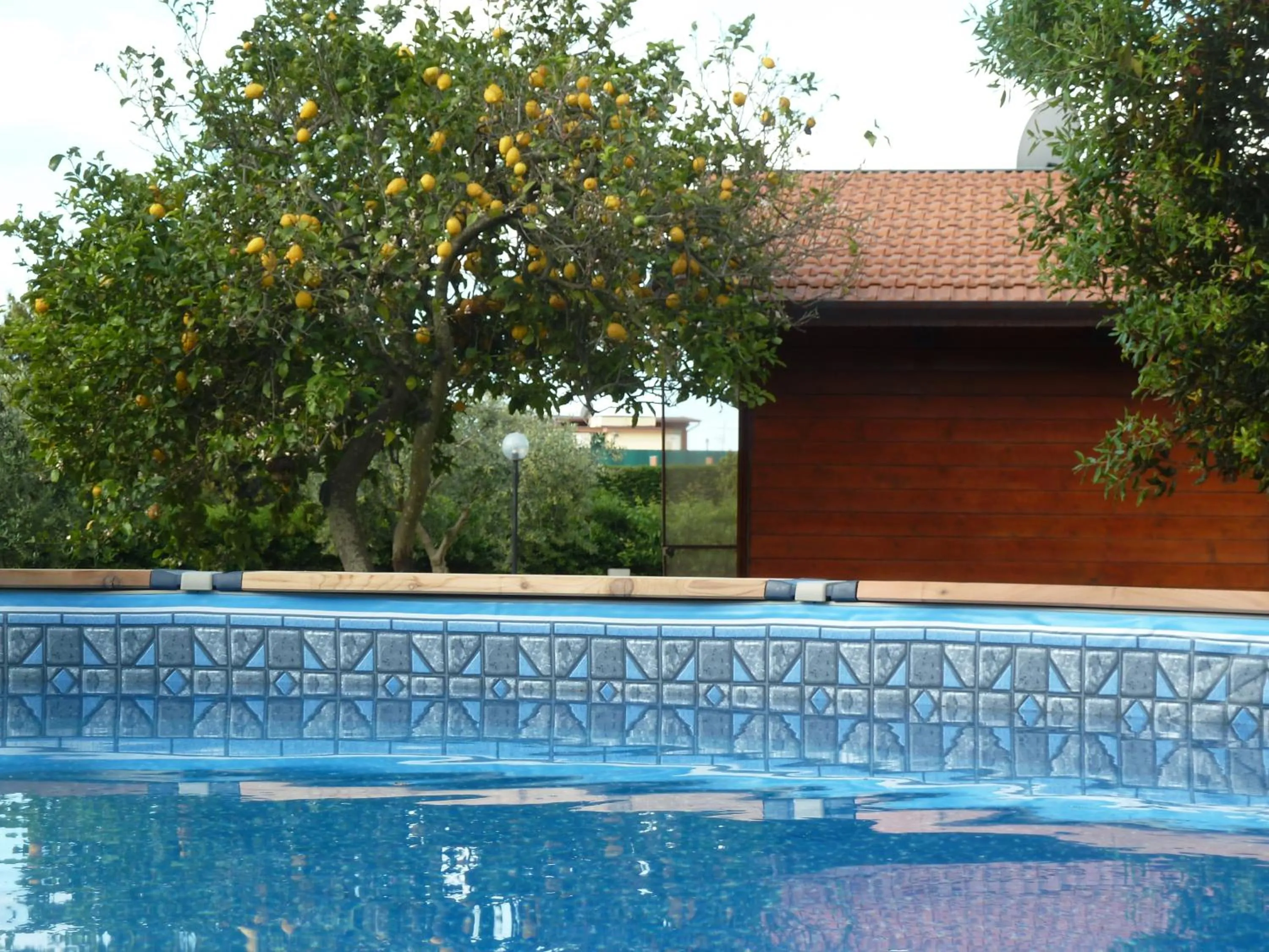 Swimming pool in 'O Chalet