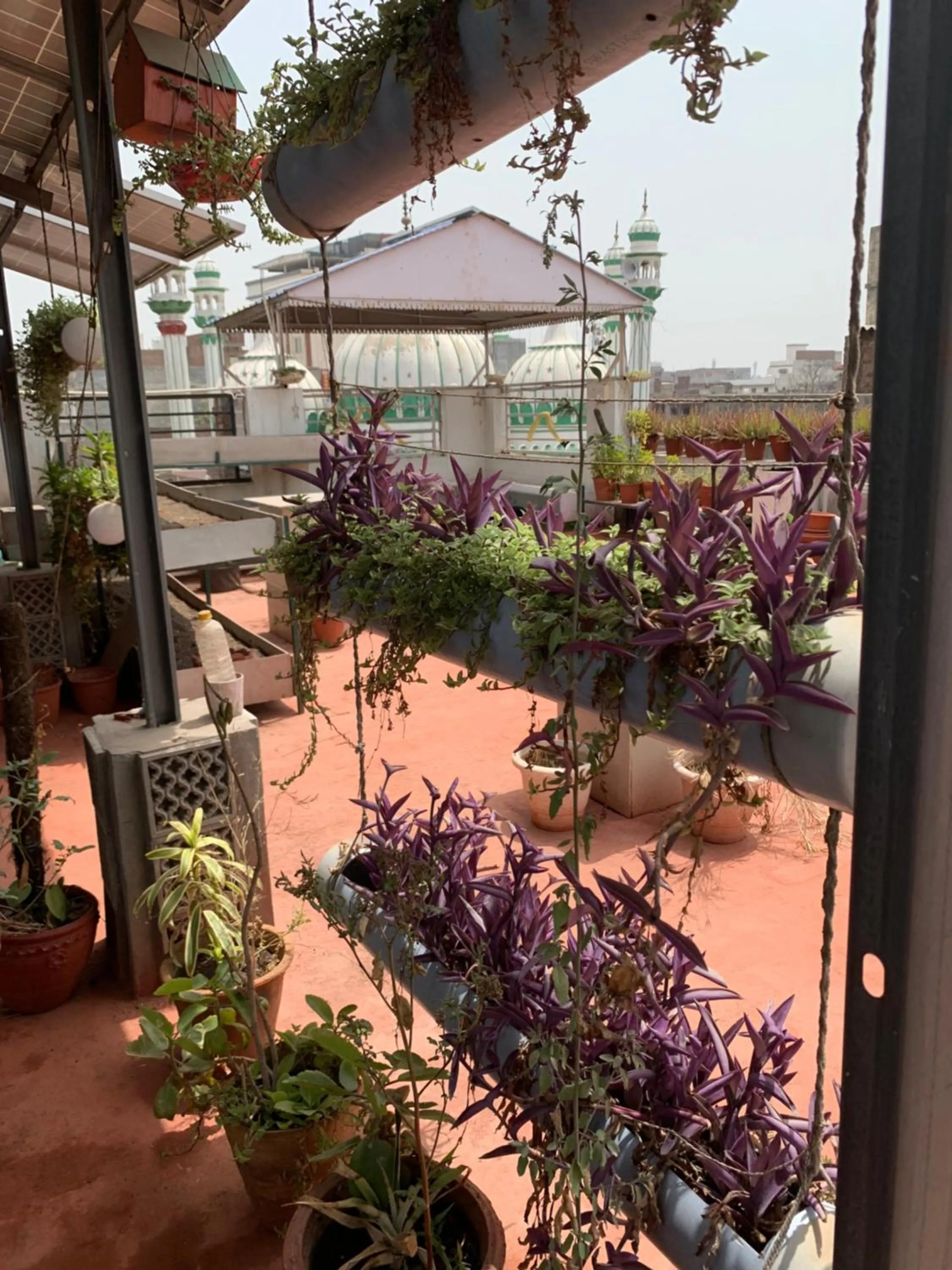 Balcony/Terrace in Backpacker's Nest