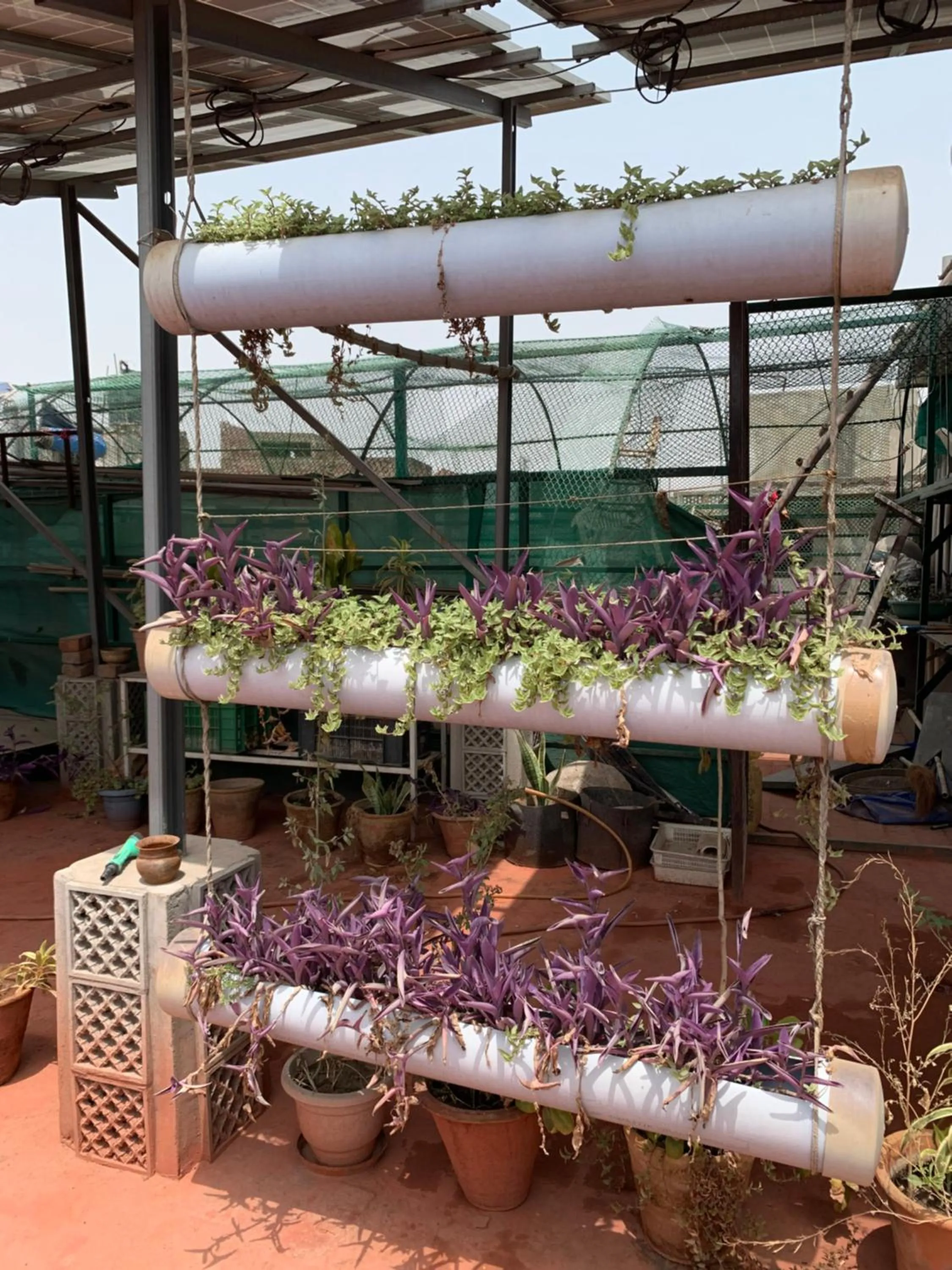 Balcony/Terrace in Backpacker's Nest
