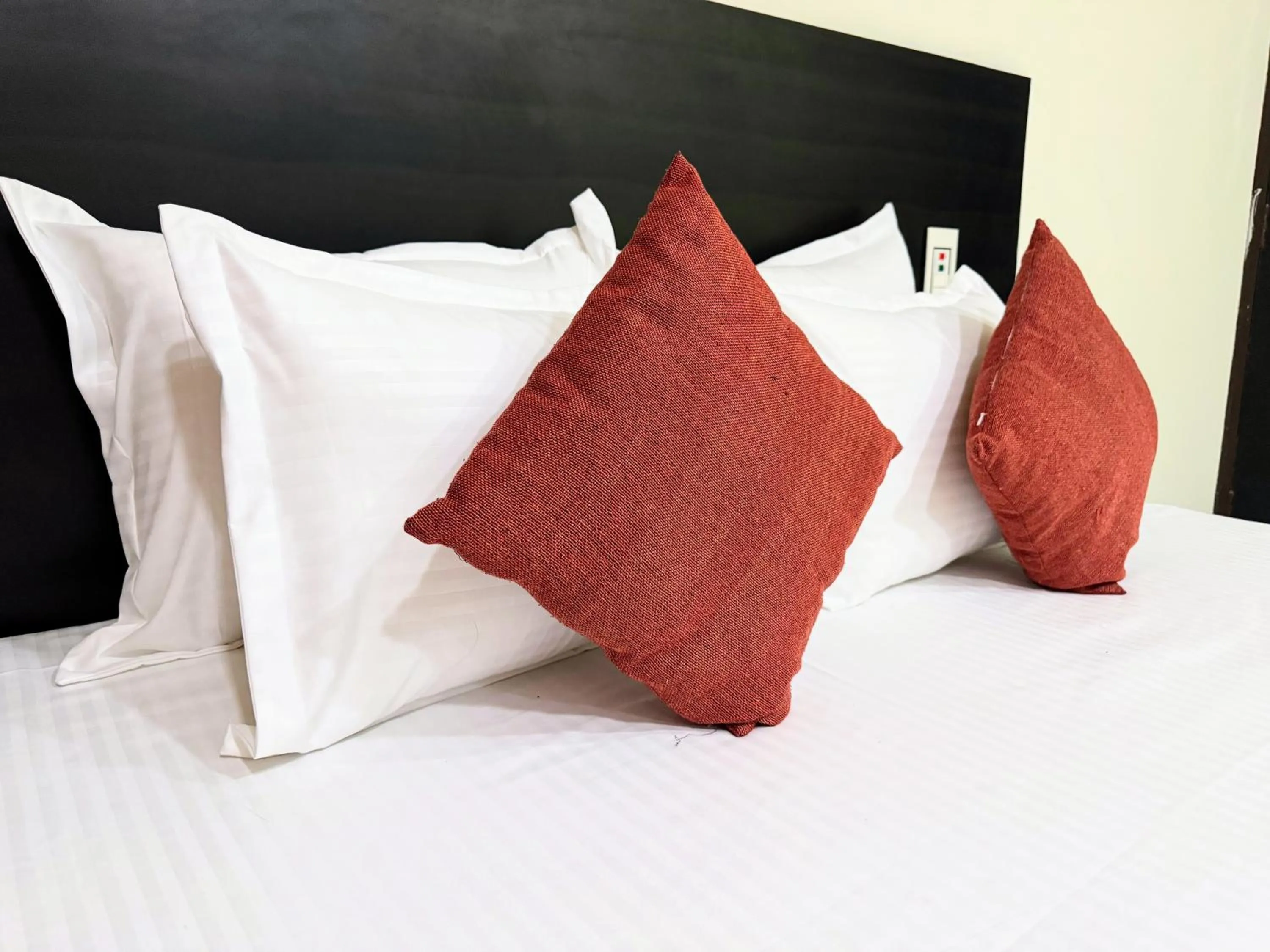 Bed in Backpacker's Nest