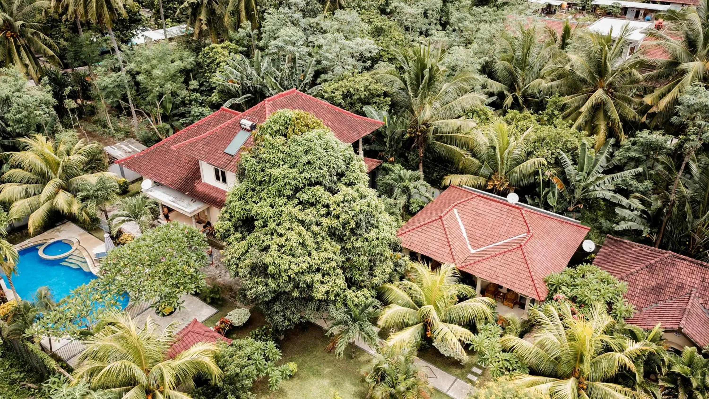 Garden in Sari Inn Kuta Lombok