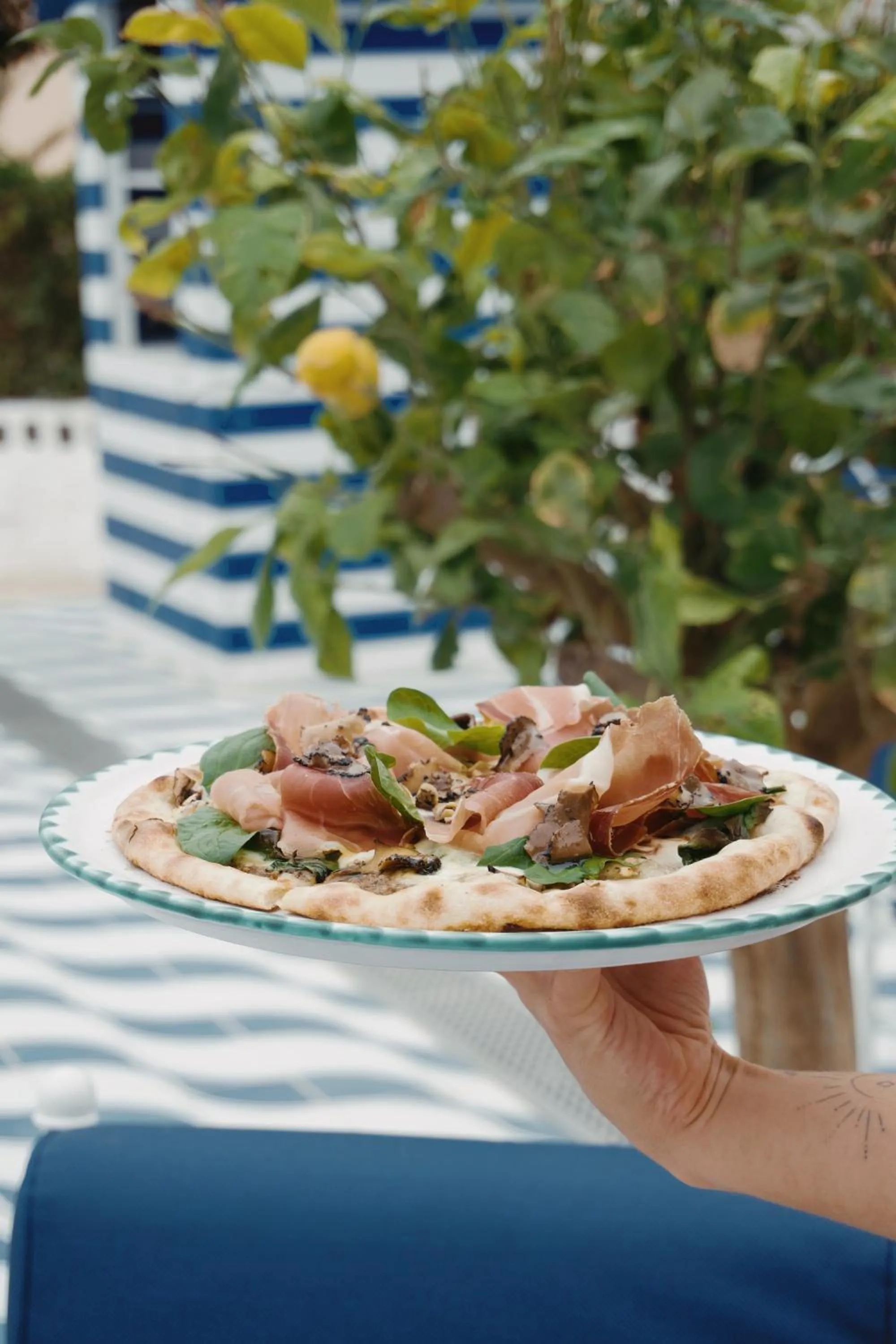 Restaurant/places to eat, Food in Palladium Hotel Don Carlos