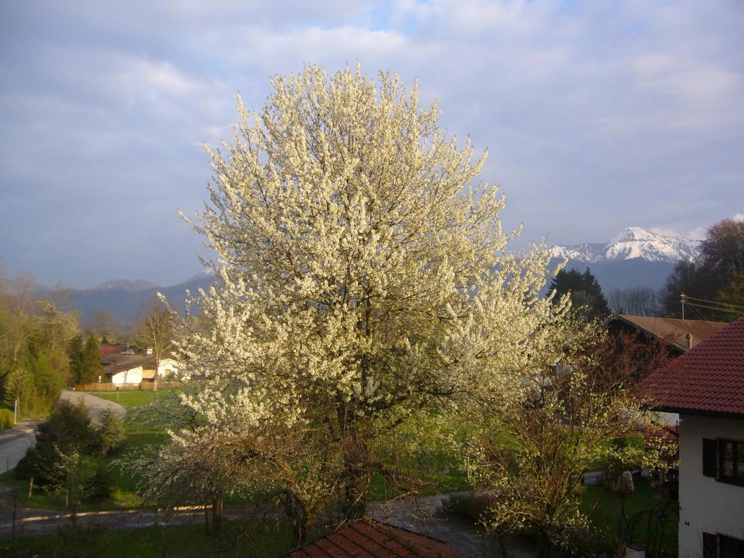 View (from property/room) in Apartments Donebauer
