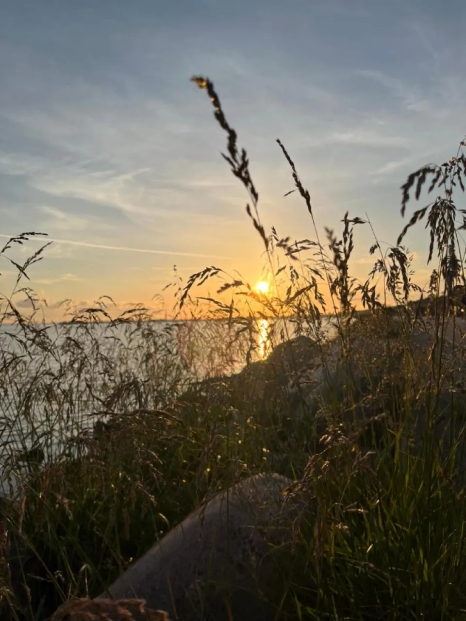 Natural landscape in Willa Klara