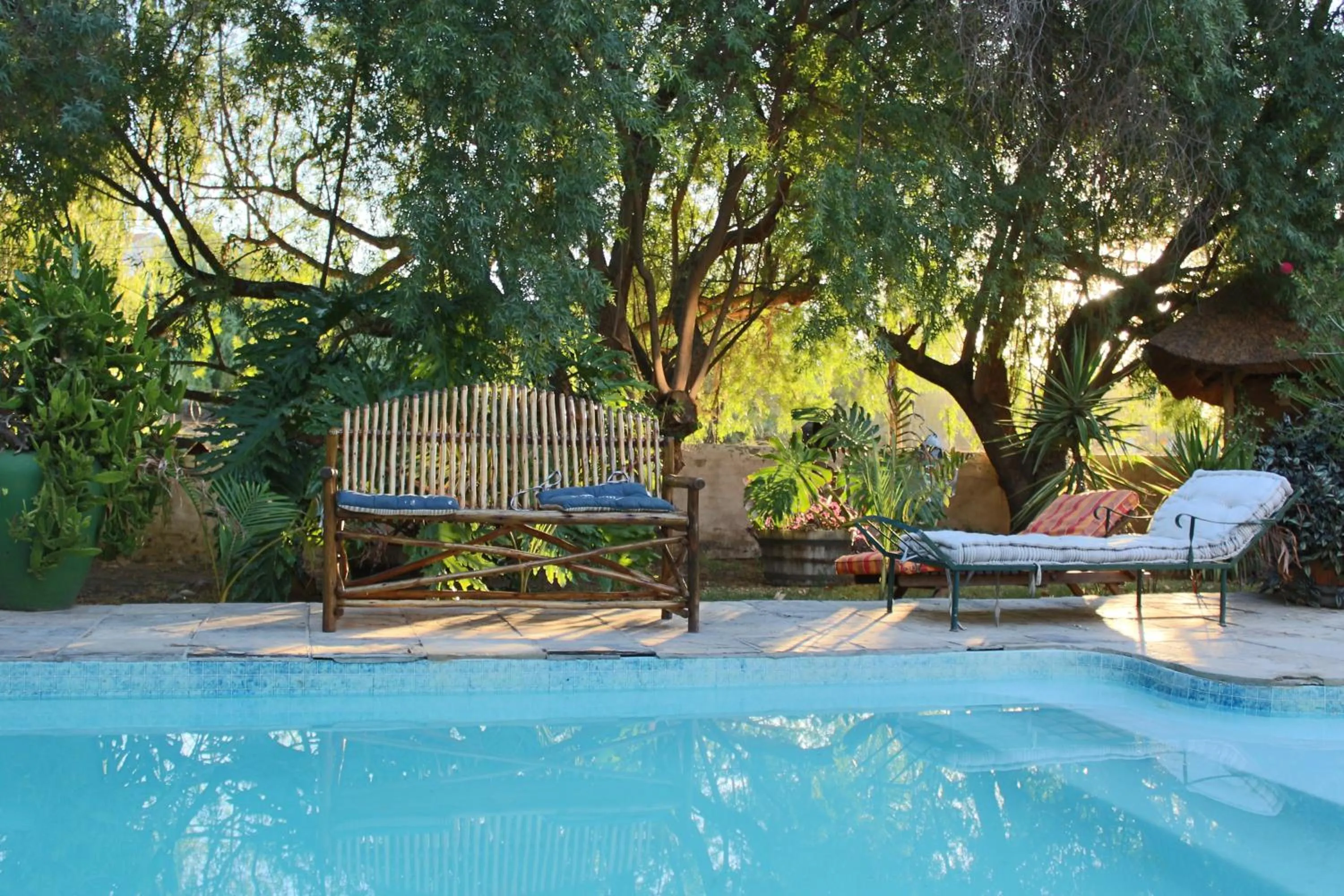 Garden in Wittedrift Manor House