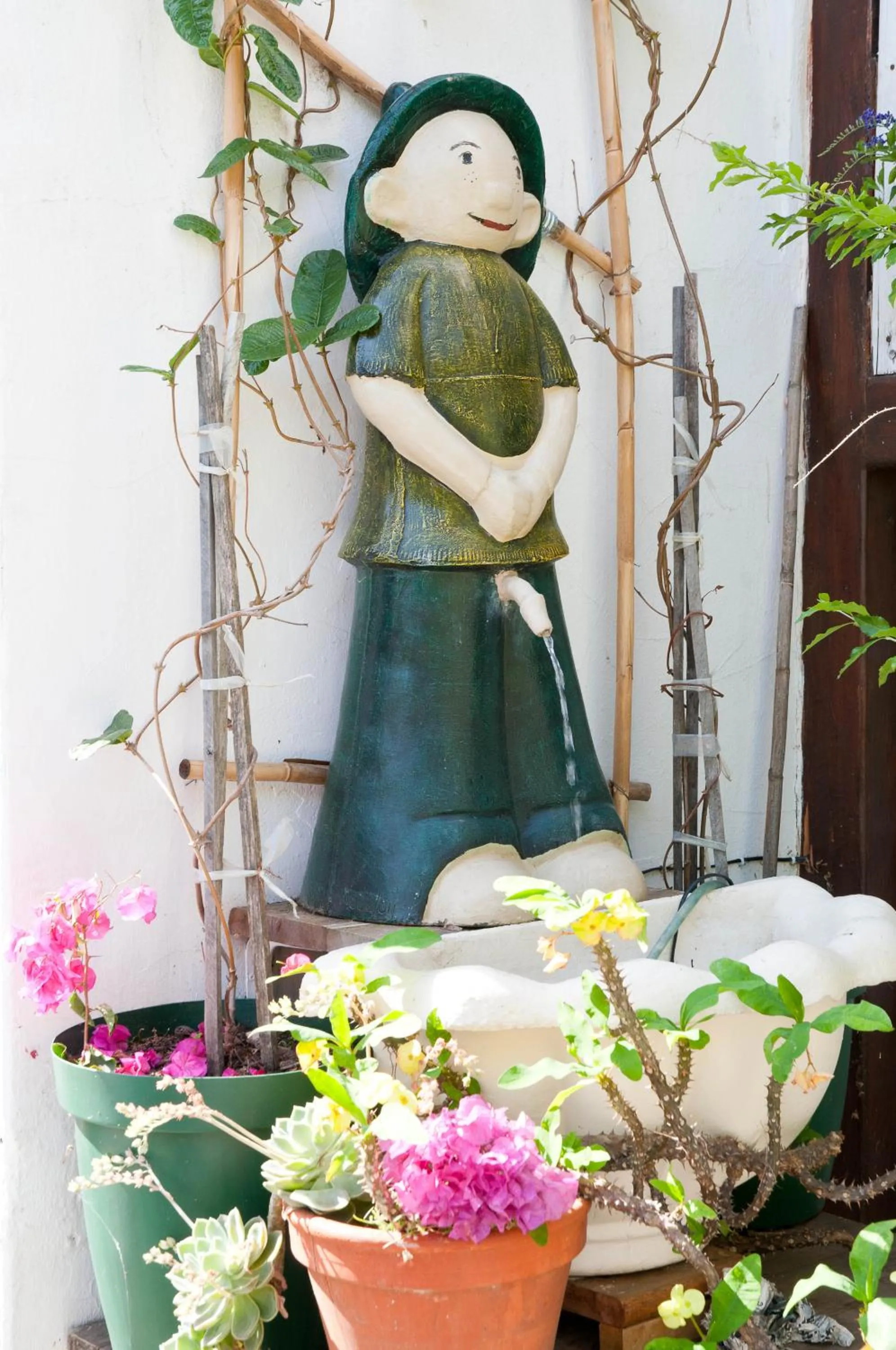 Decorative detail in Wittedrift Manor House