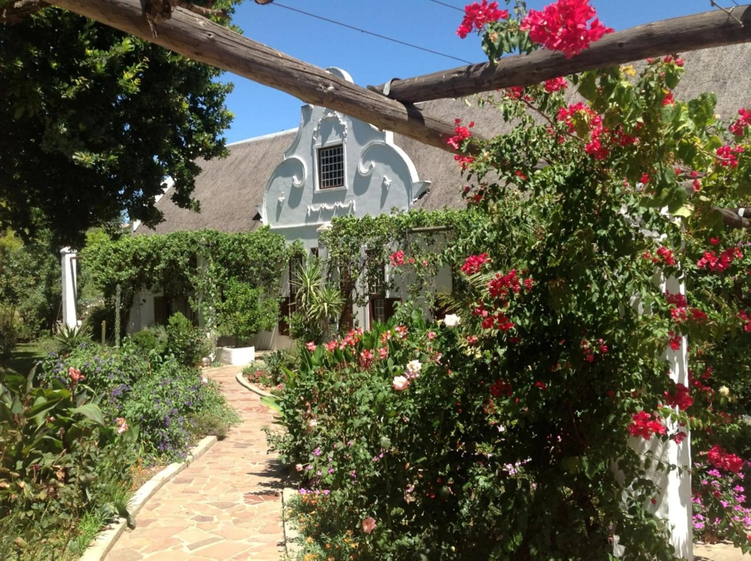 Patio in Wittedrift Manor House