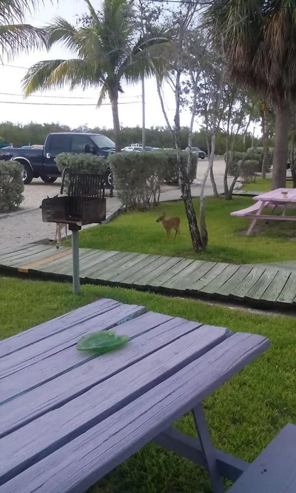 Garden in Old Wooden Bridge Resort & Marina